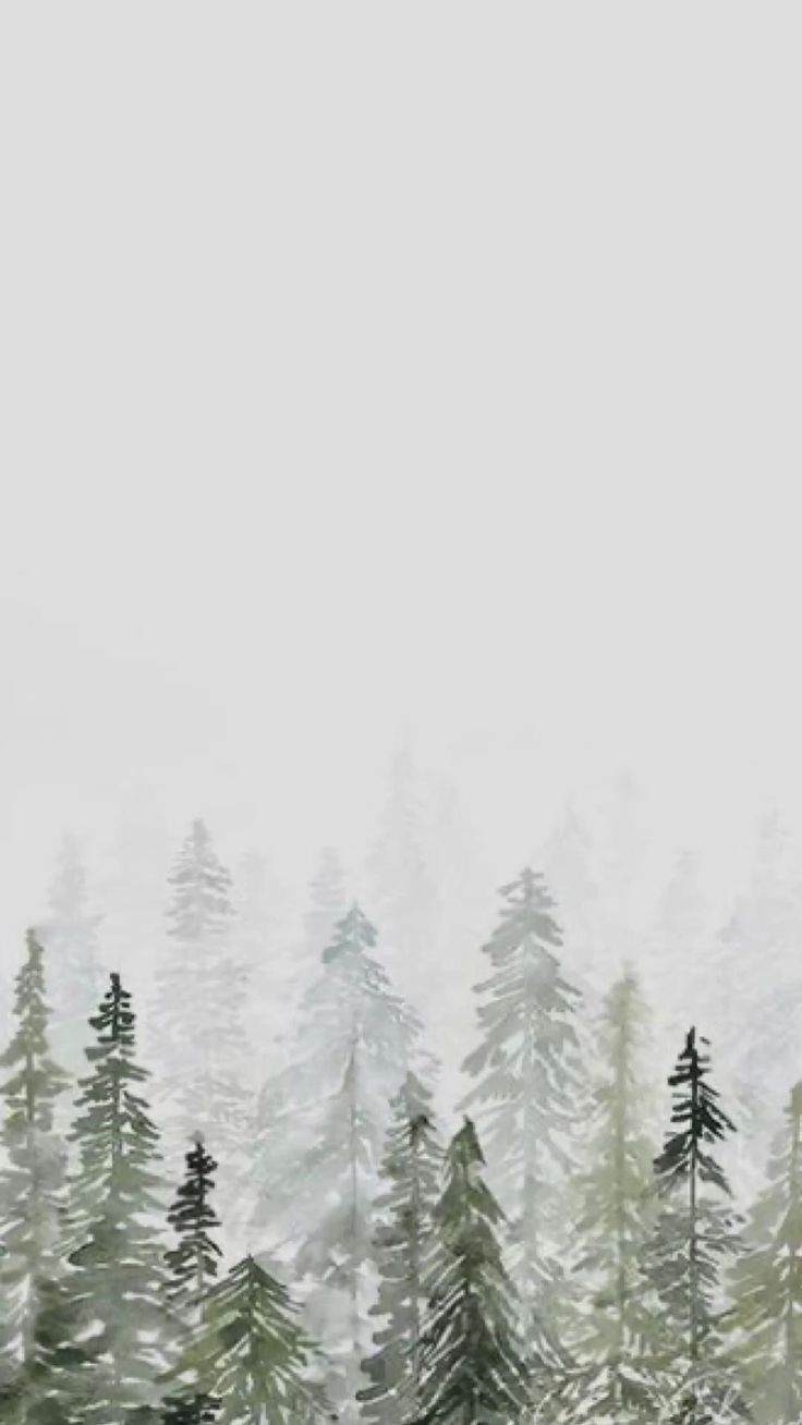 wallpaper