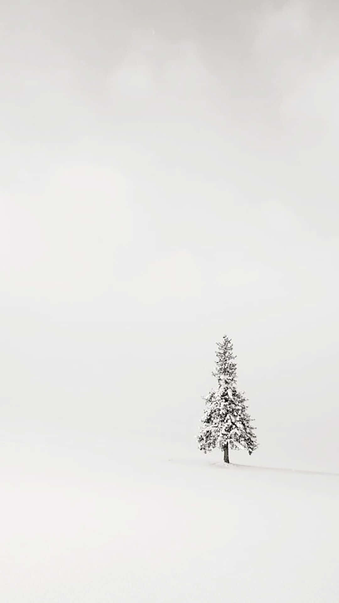 Download A Single Tree In A Snow Covered Field Wallpaper