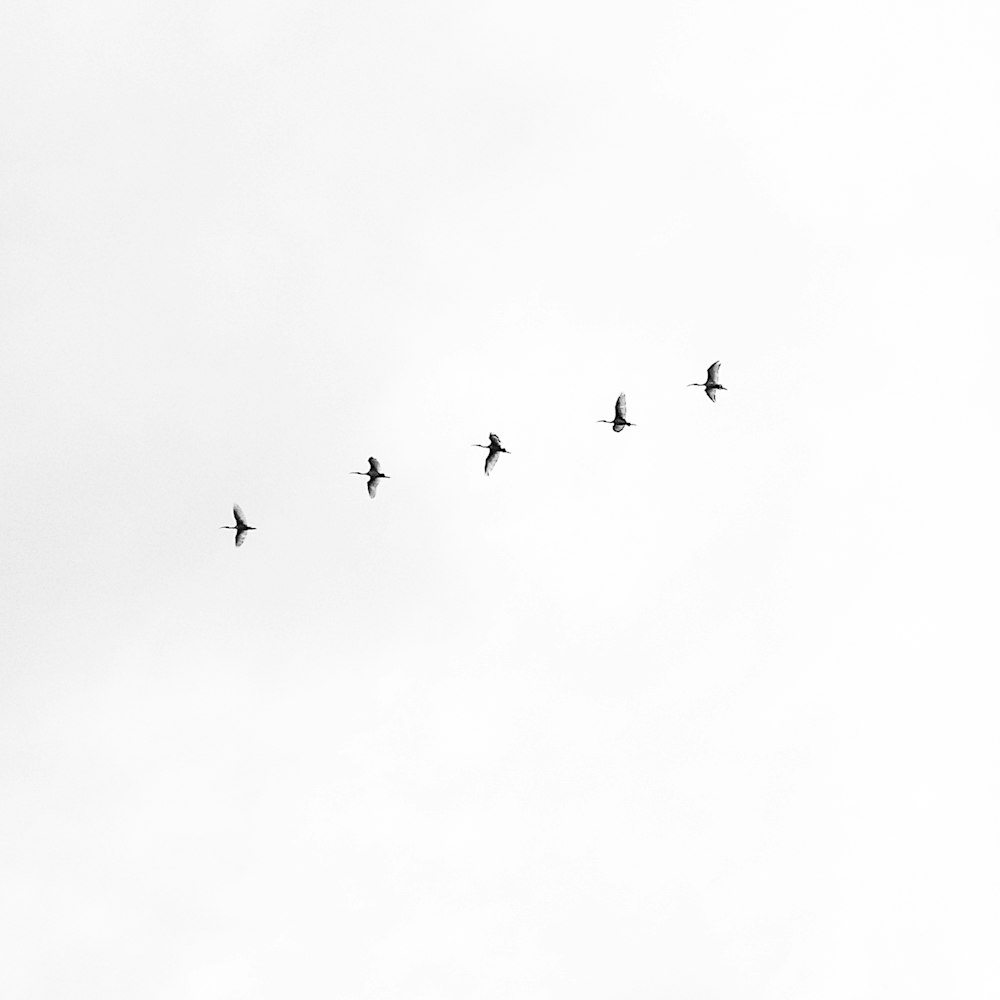 minimalist aesthetic. best free aesthetic, minimalist, background and white photo