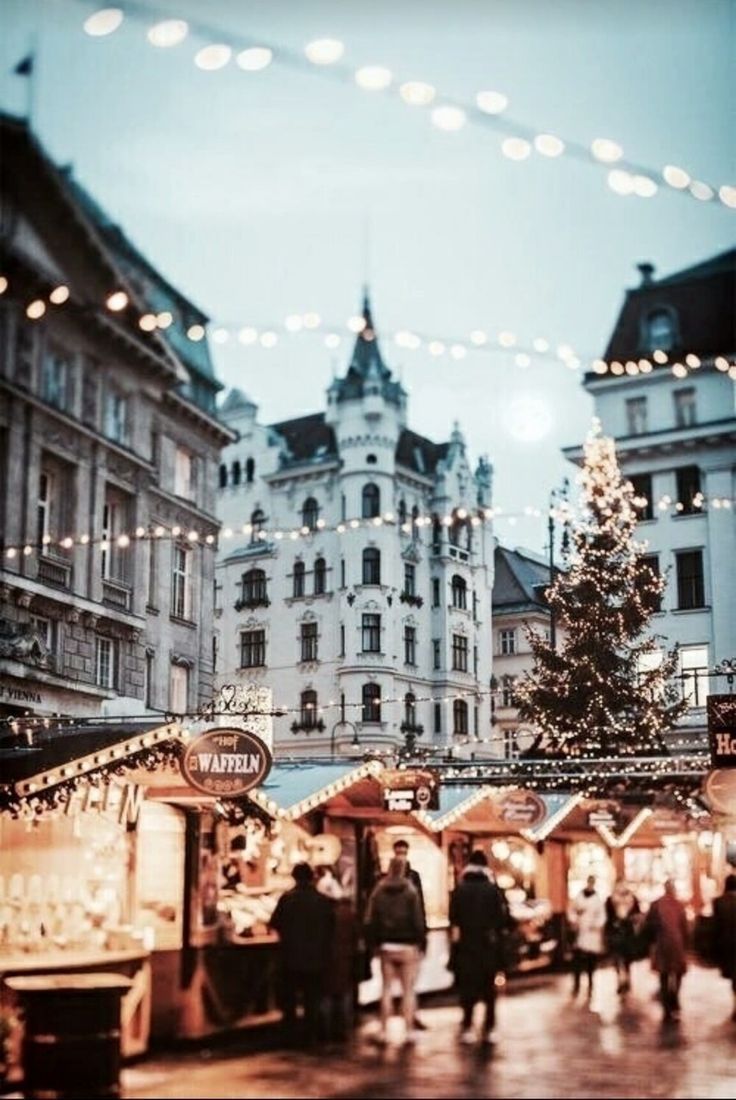 Christmas Market in Vienna, Austria. Top vacation spots, Vacation spots, Christmas travel
