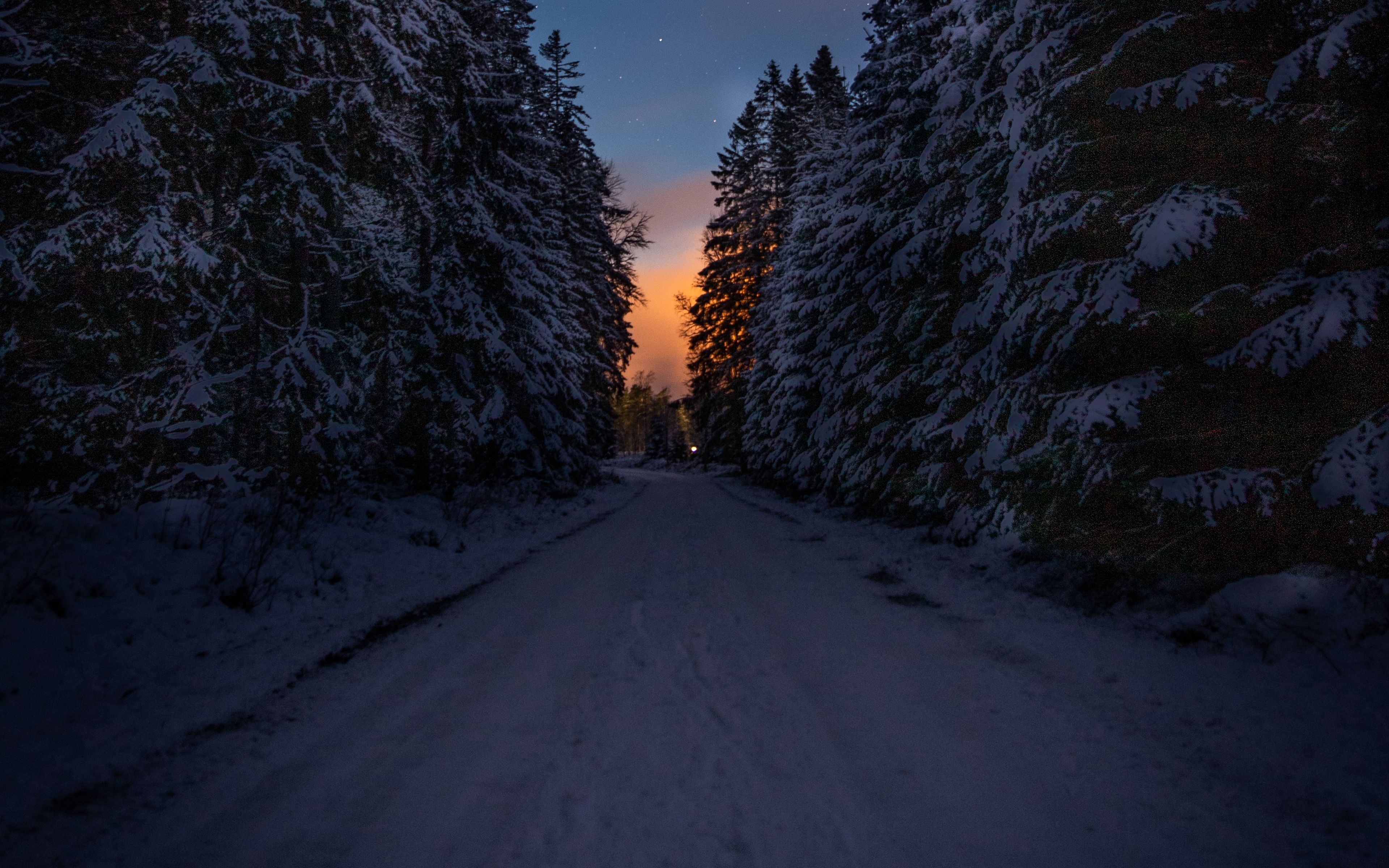 Download wallpaper 3840x2400 road, trees, snow, winter, dusk, dark 4k ultra HD 16:10 HD background