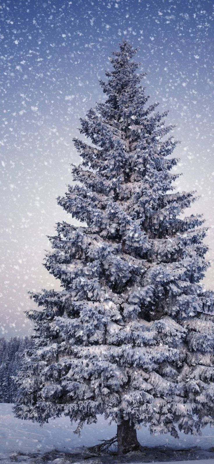 Samsung Galaxy A50 Wallpaper. Christmas tree wallpaper, iPhone wallpaper winter, Snowy christmas tree