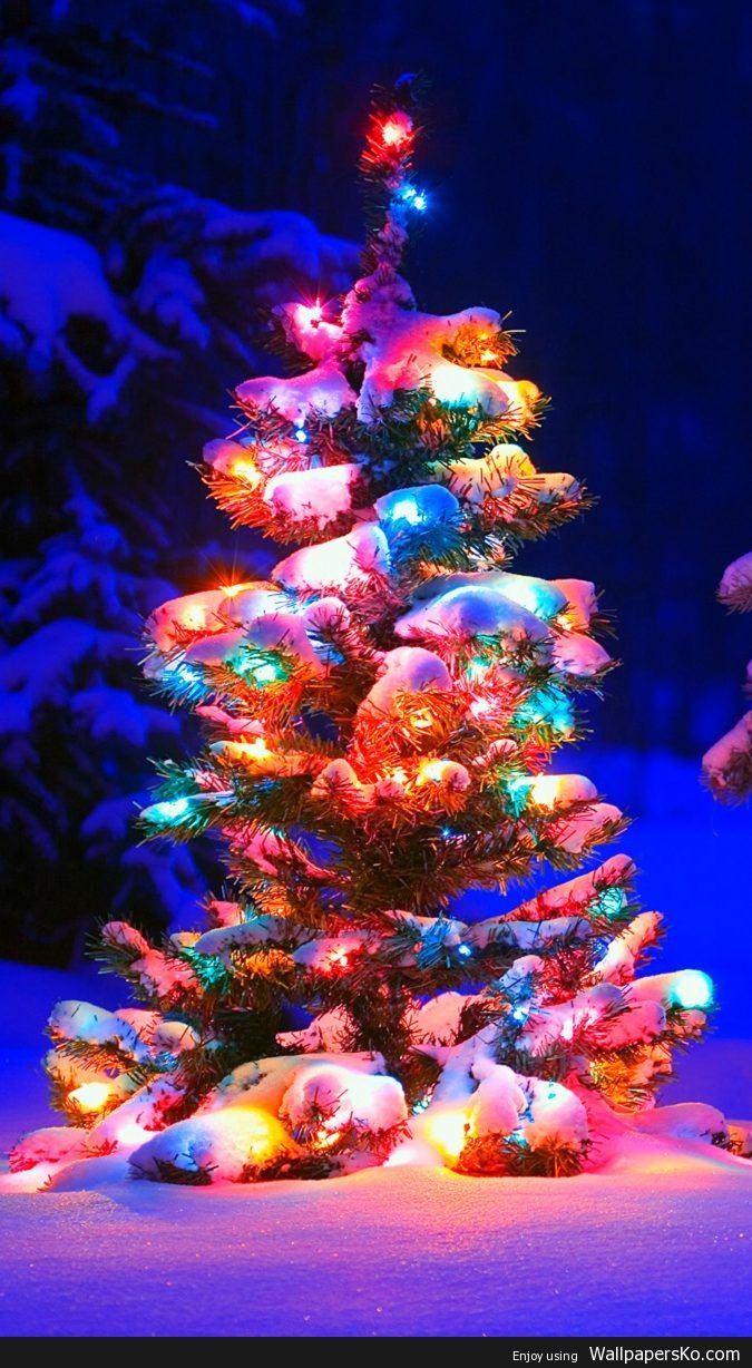 Christmas Tree Phone Wallpaper /christmas Tree Phone Wallpaper. Christmas Phone Wallpaper, Christmas Tree Wallpaper, Xmas Wallpaper