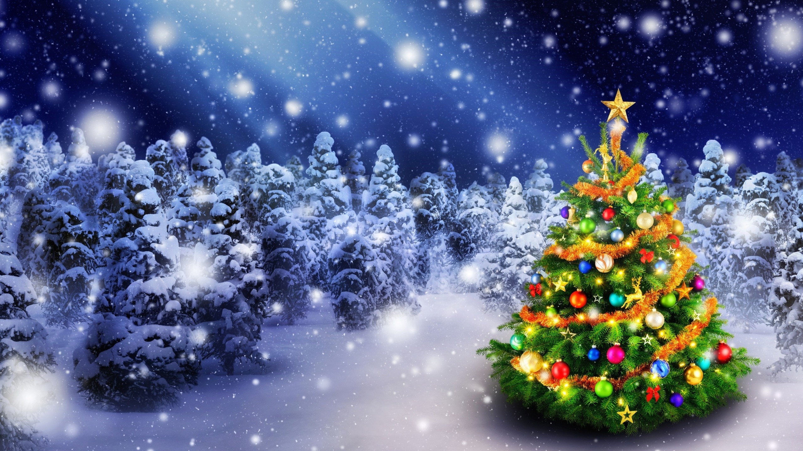 Christmas Tree in Snow 2560x1440 HDTV Wallpaper
