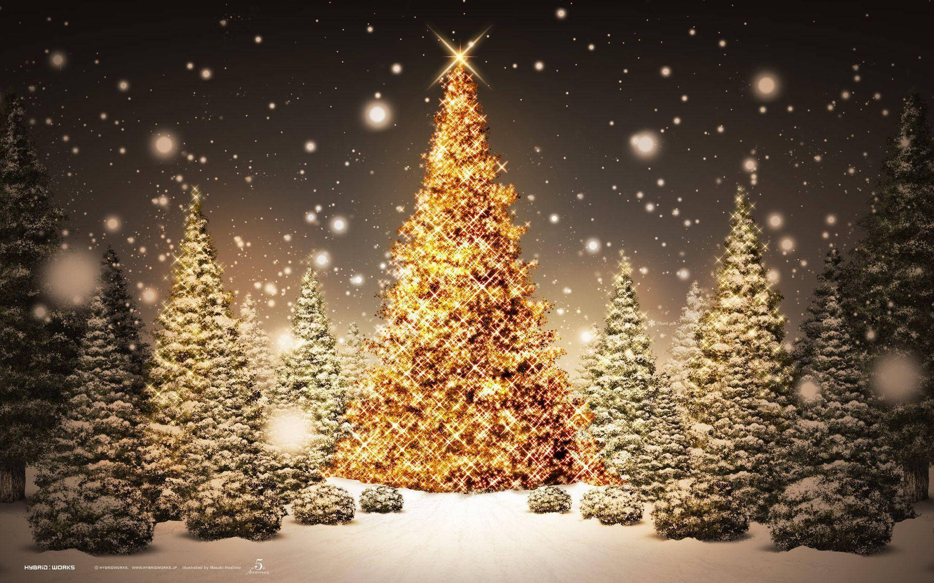 Download Pretty Christmas Trees In Snow Wallpaper