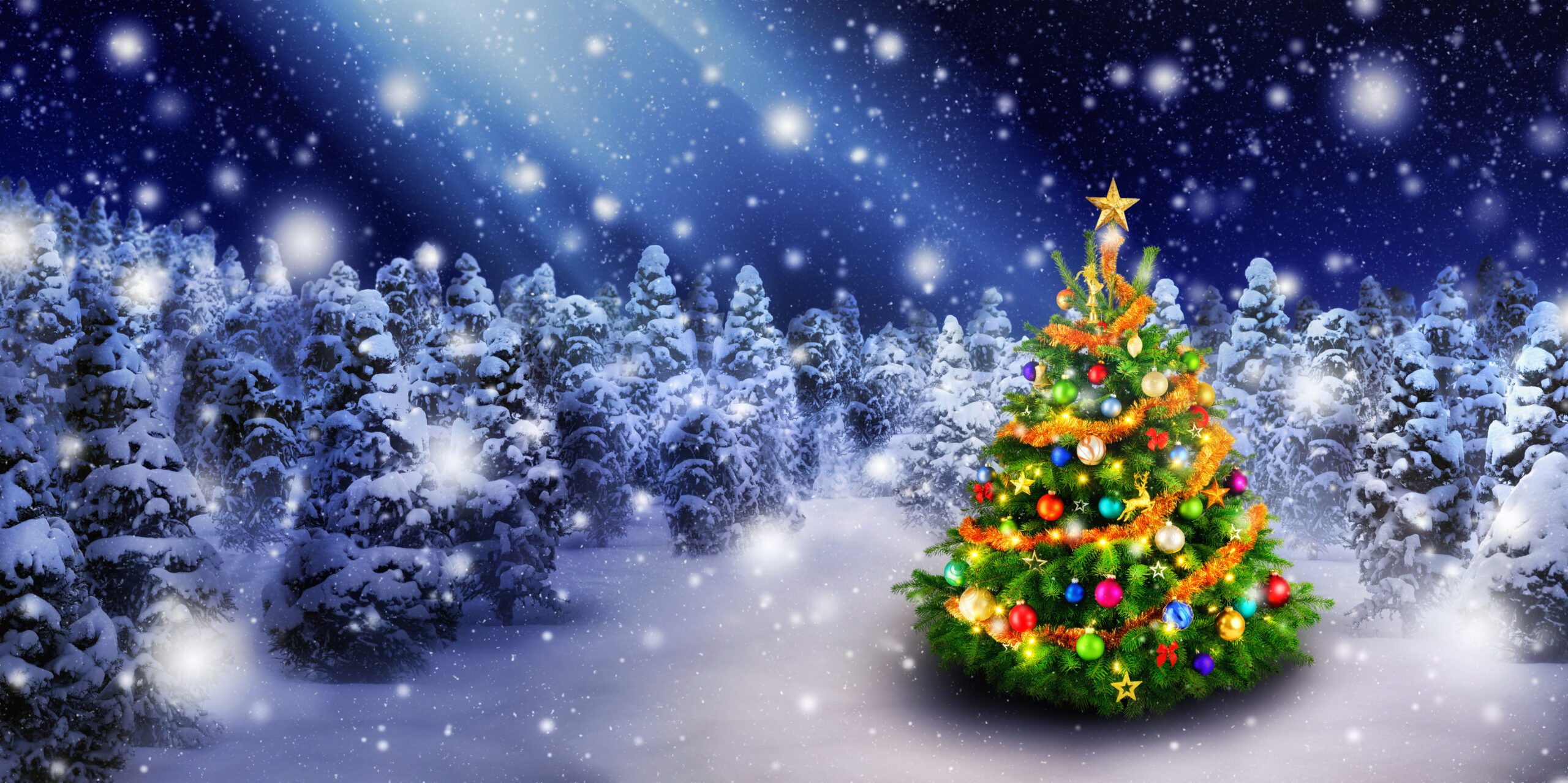 Christmas tree digital backdrop, tree digital background, winter