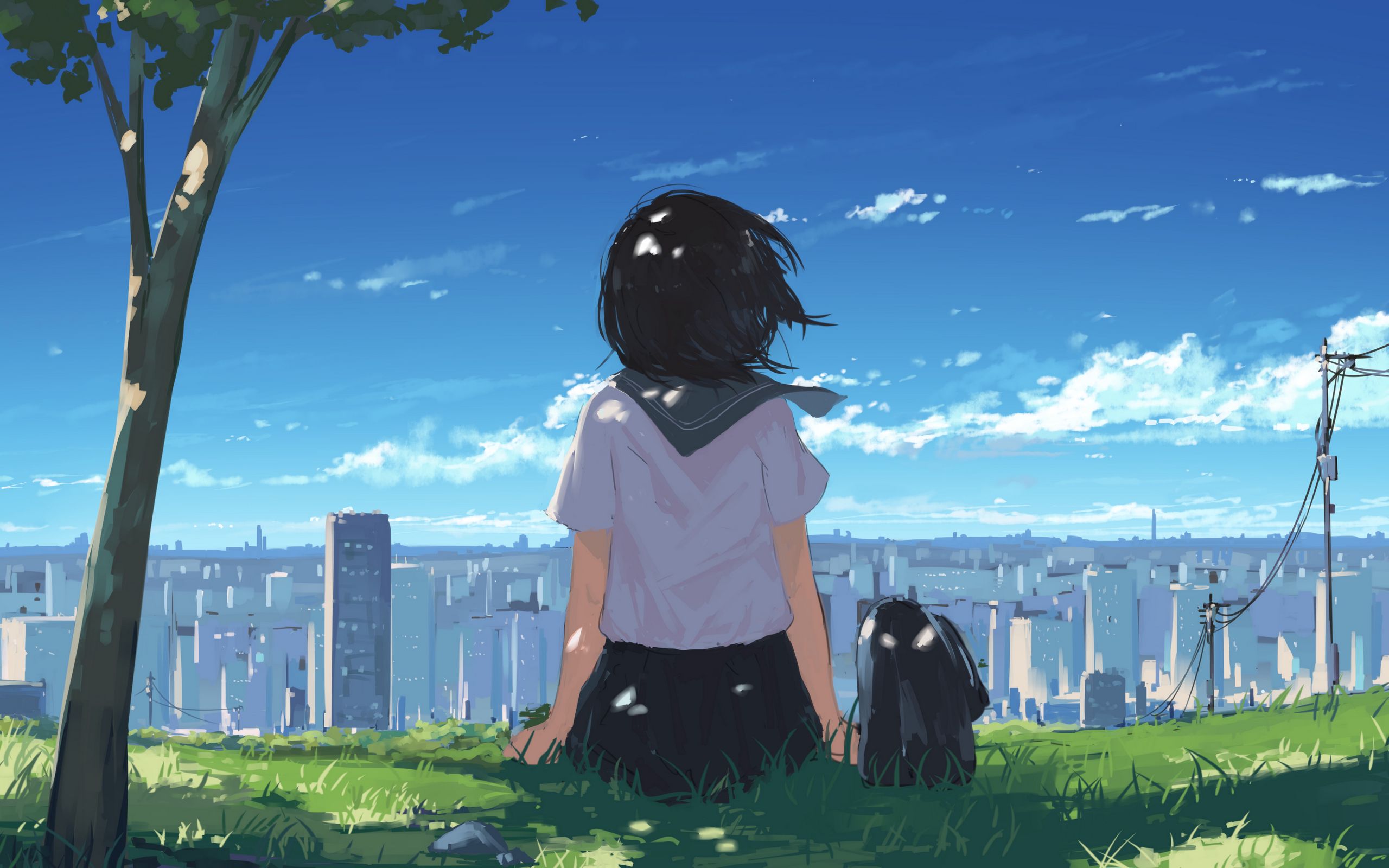 Download wallpaper 2560x1600 girl, grass, city, anime, art, cartoon widescreen 16:10 HD background