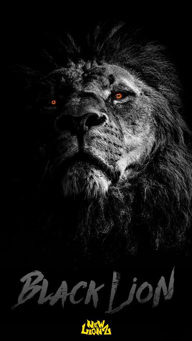 Black Lion (NewLionz) IPhone Android Wallpaper
