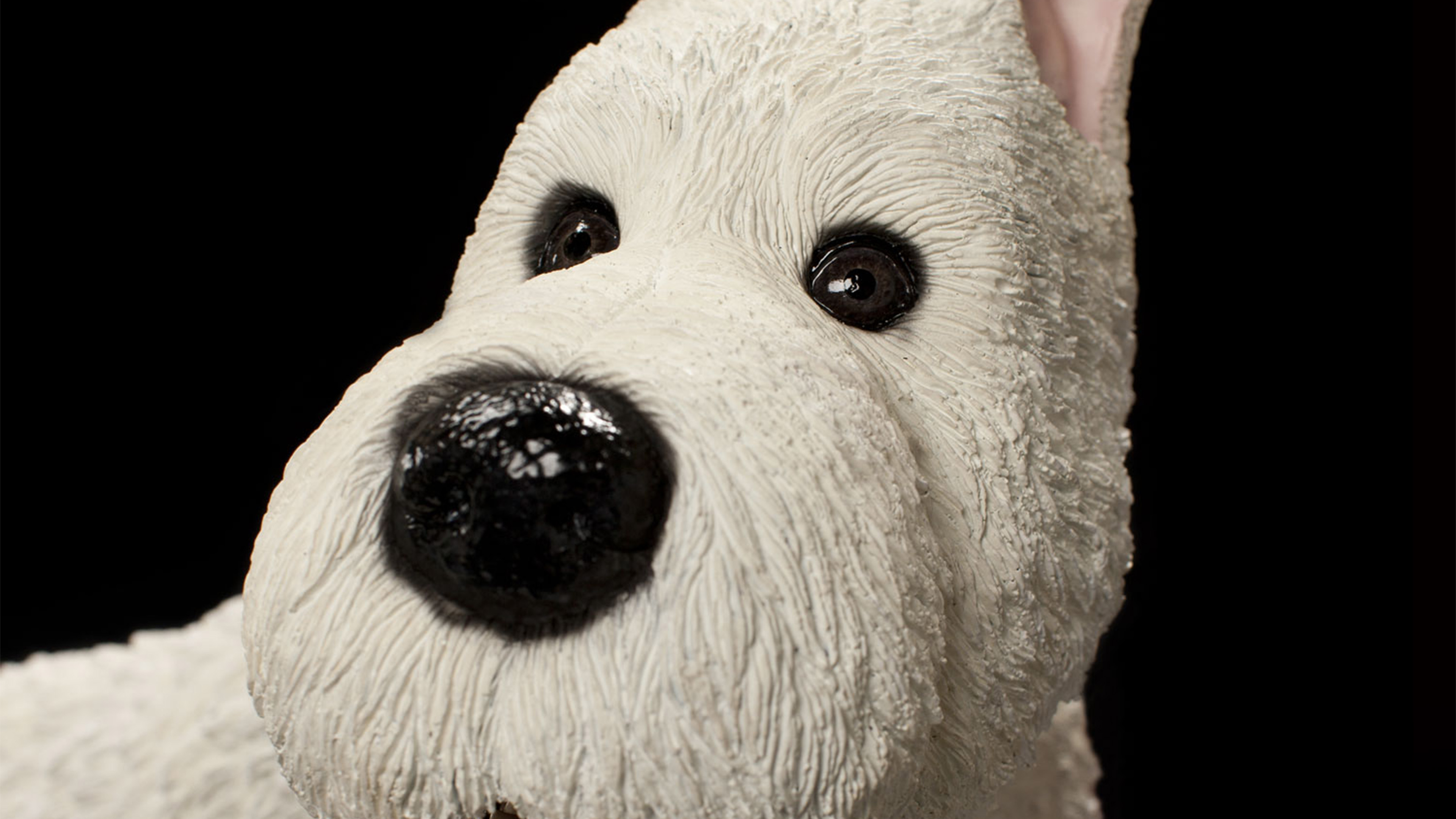 wallpaper for desktop, laptop. the adventures of tintin dog cute