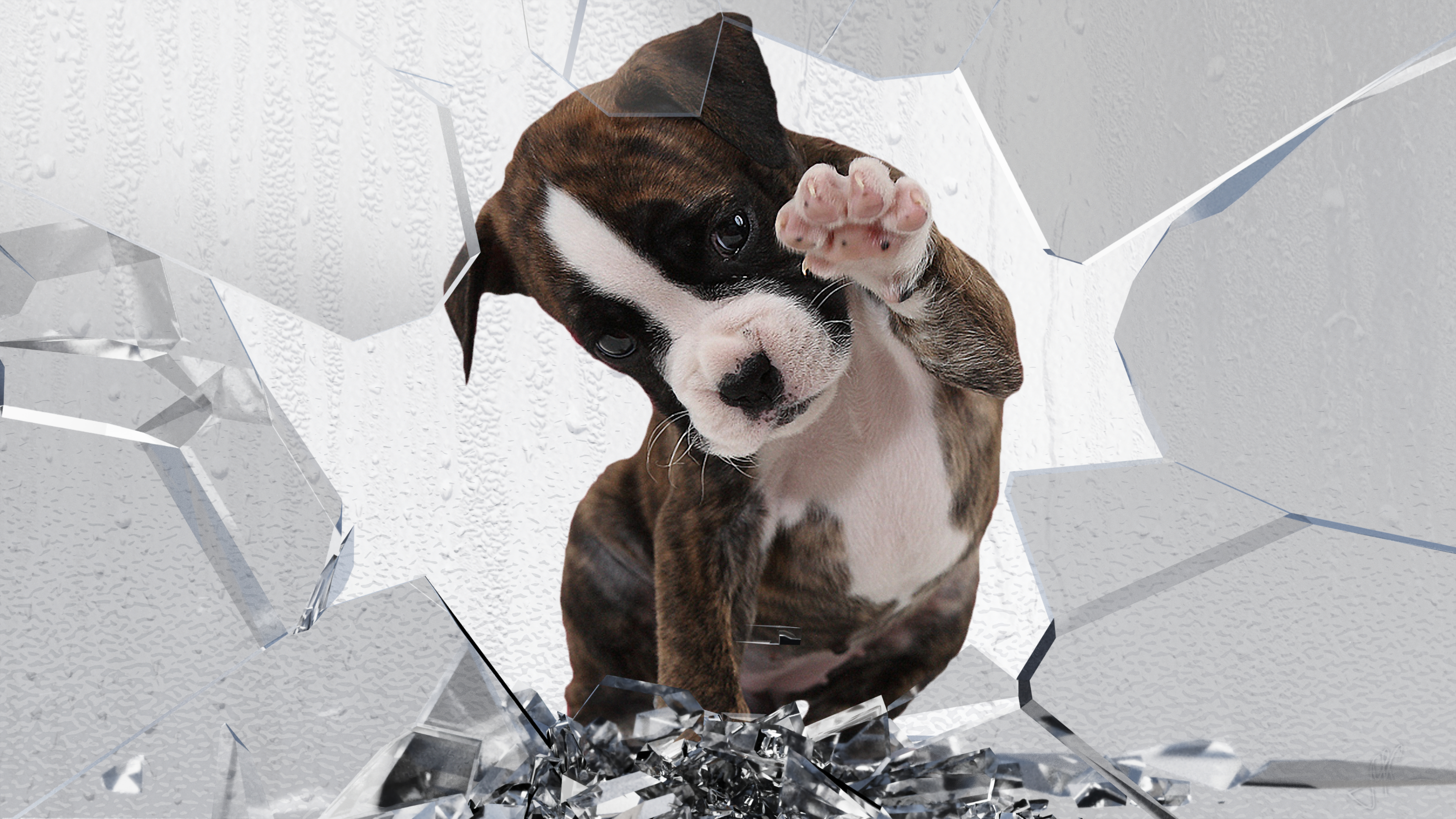 Cute Desktop Pet 2 (4K Wallpaper)