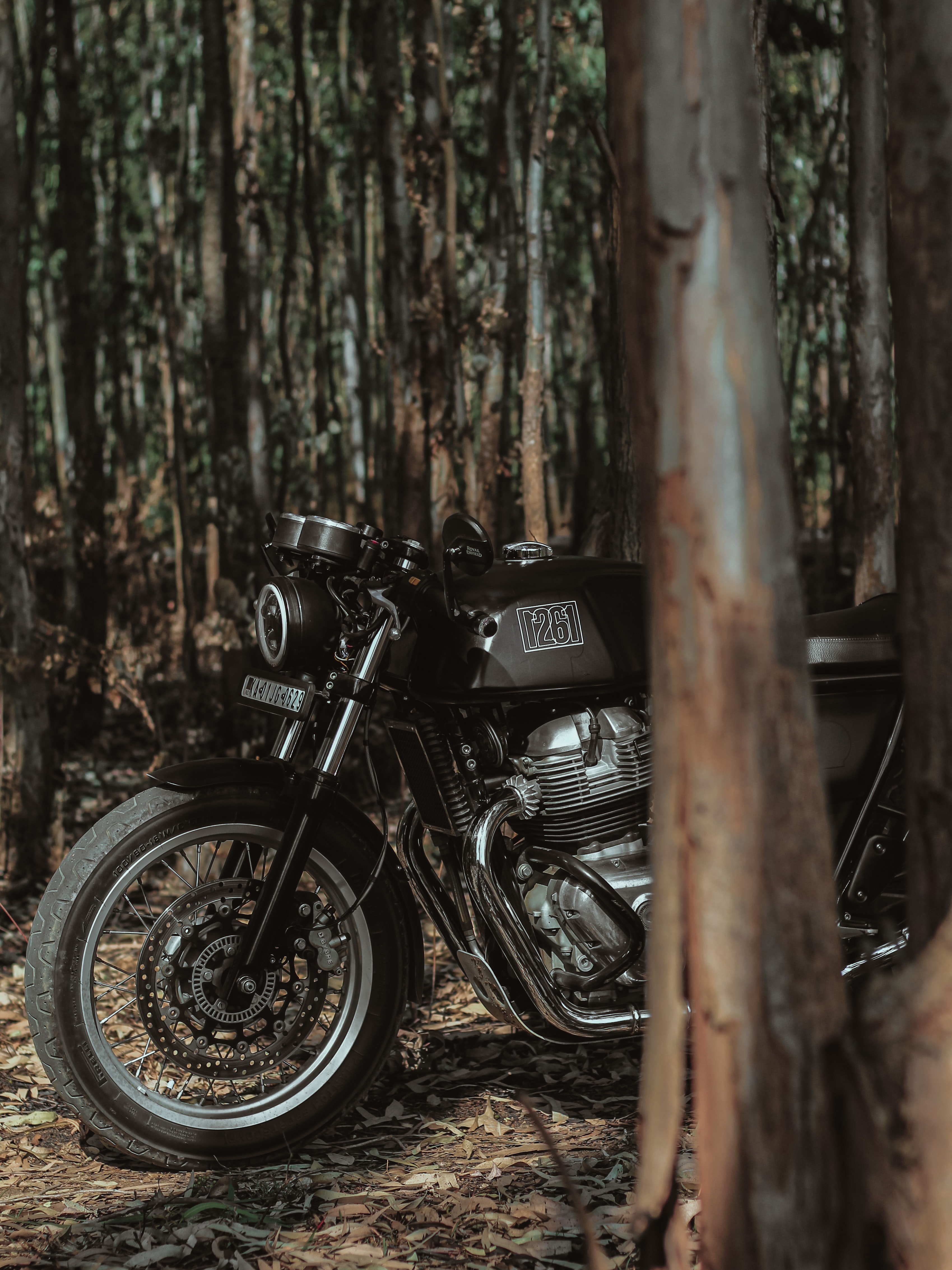 Royal Enfield, Motorcycles, Forest