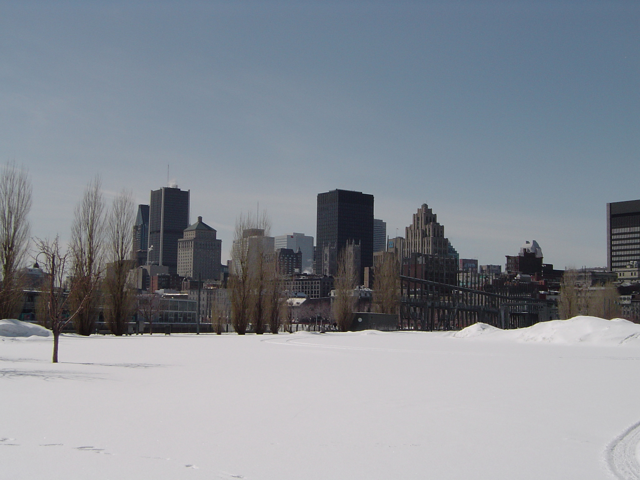 Free of Montreal City Skyline in Winter