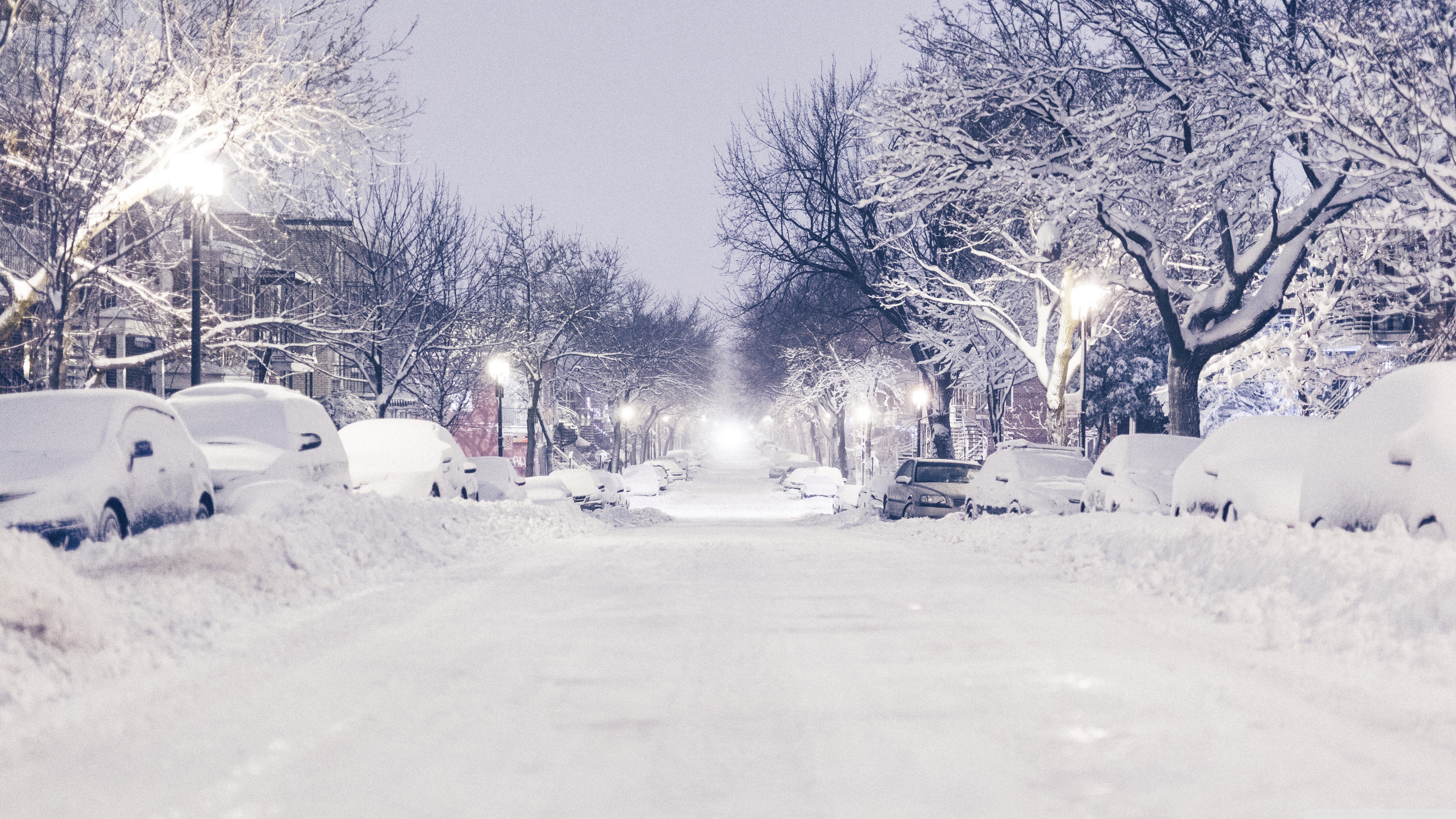 Montreal Winter Ultra HD Desktop Background Wallpaper for 4K UHD TV, Widescreen & UltraWide Desktop & Laptop, Tablet