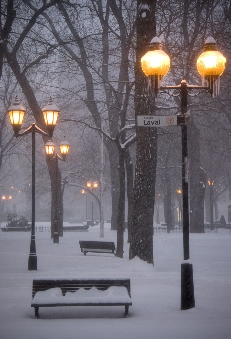 Montreal Winter. Louis Square, Le Plateau. Winter wallpaper, Winter scenery, Winter picture