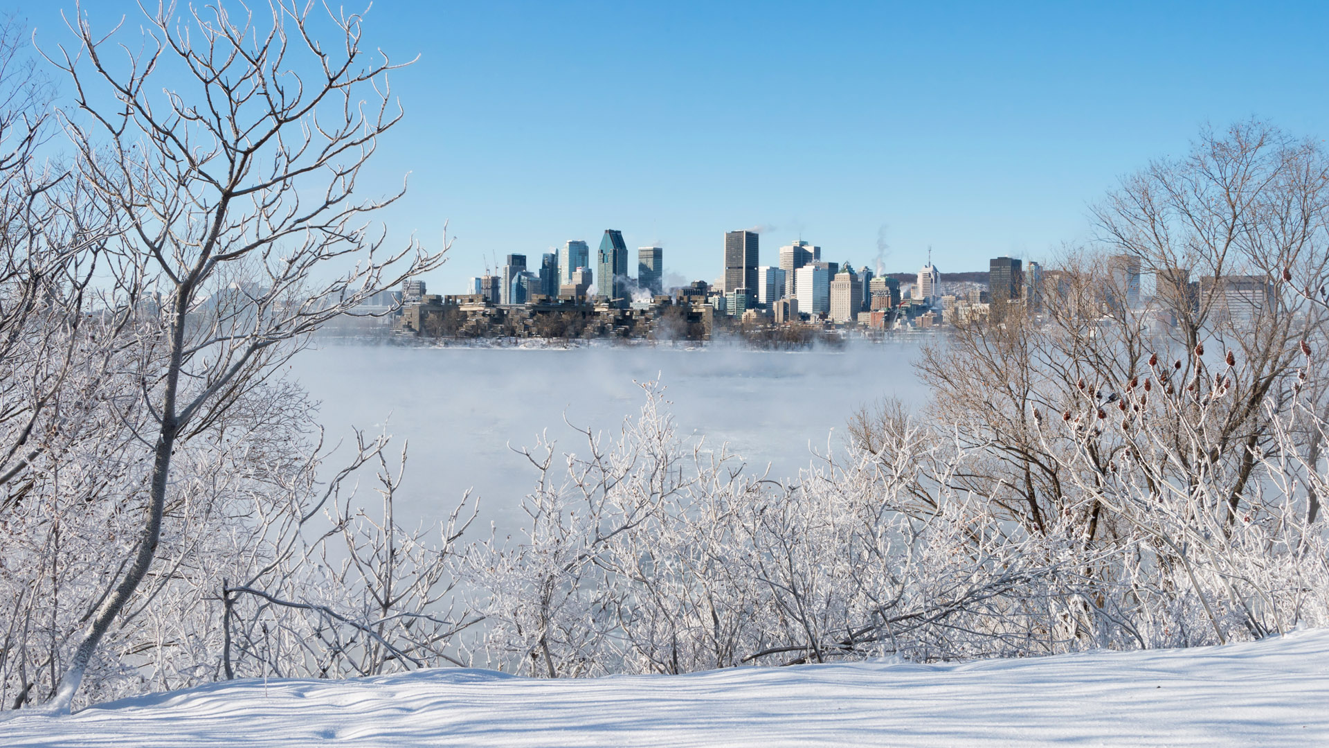 Montreal Skyline in winter as ice fog rises off the St. Lawrence River, Quebec, Canada. Windows Spotlight Image