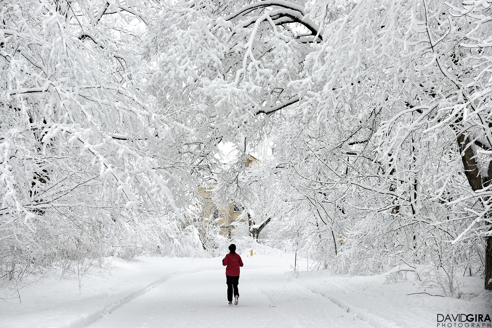 Exploring Montreal: Winter Wonderland at Mont Royal Park