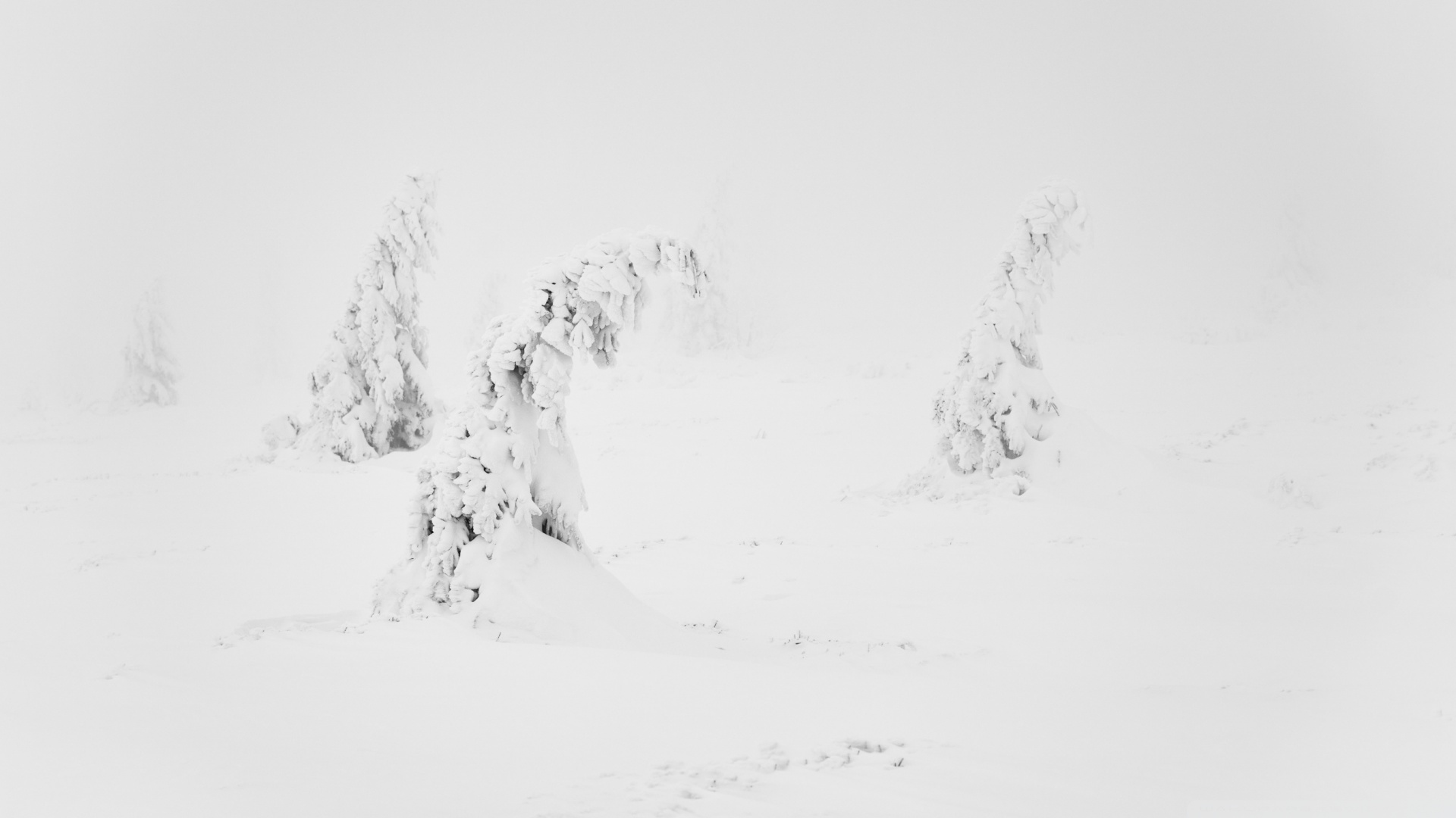 Winter White Snow Aesthetic Ultra HD Desktop Background Wallpaper for 4K UHD TV, Widescreen & UltraWide Desktop & Laptop, Multi Display, Dual Monitor, Tablet