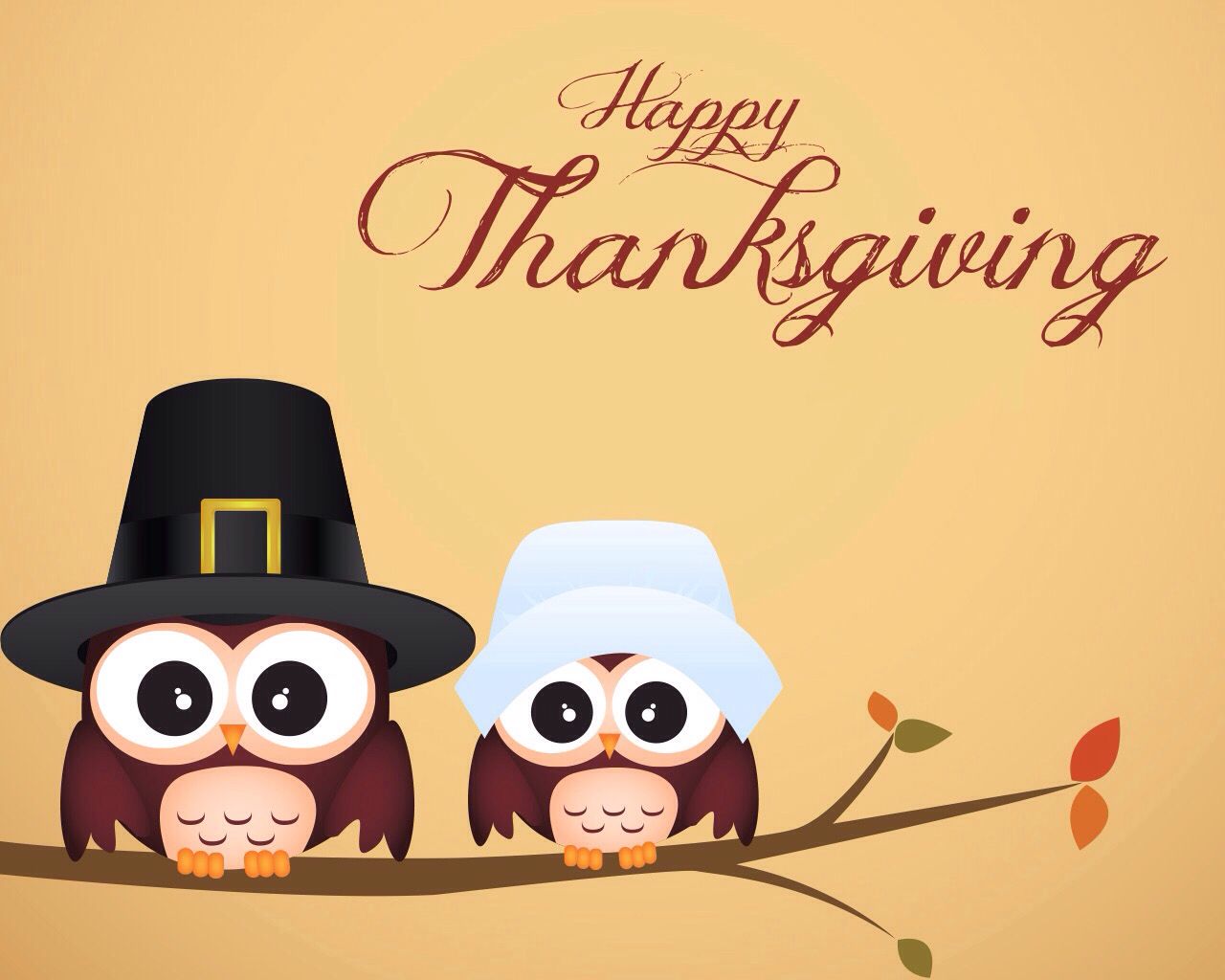 pilgrim owls. Happy thanksgiving picture, Happy thanksgiving wallpaper, Thanksgiving picture for facebook