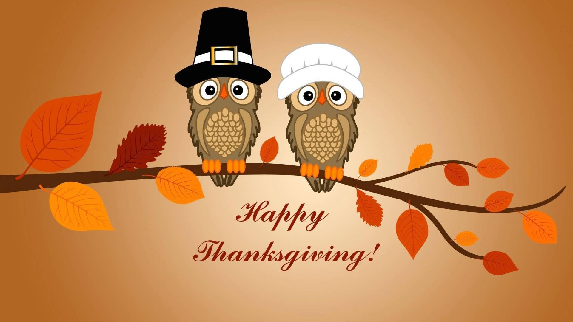 Happy Thanksgiving owls
