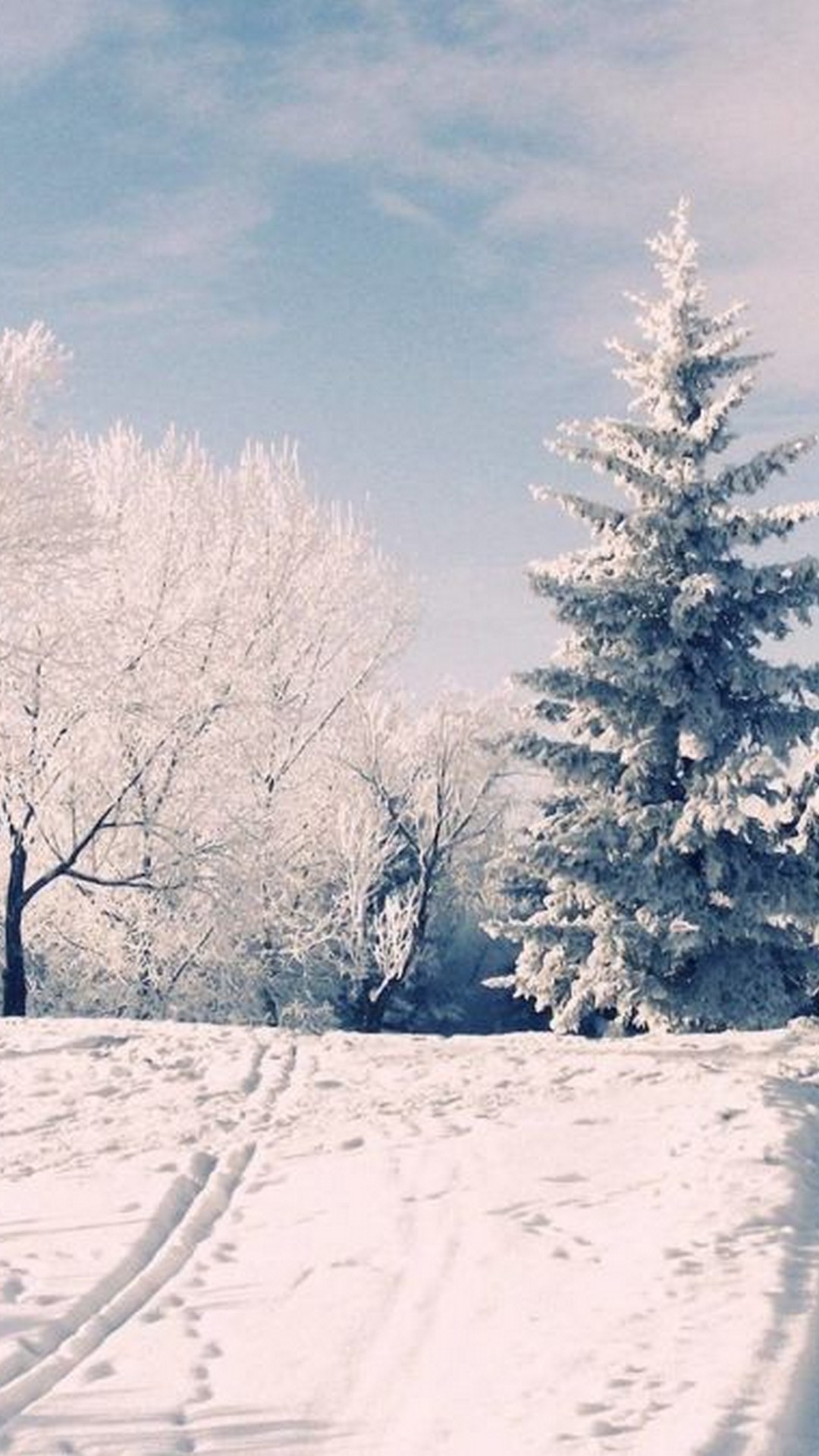 Winter Aesthetic iPhone 12 Wallpaper HD Phone Wallpaper HD