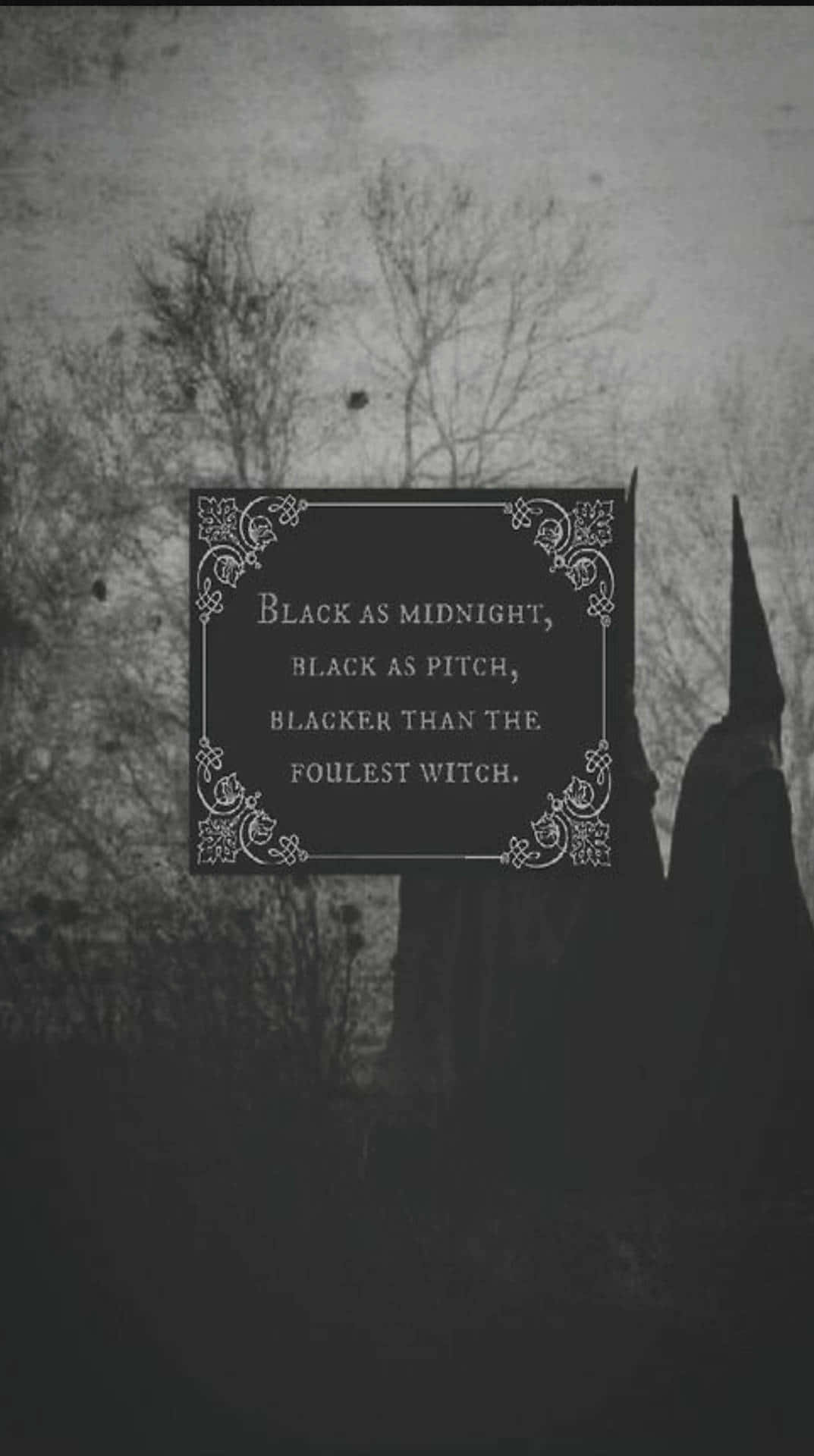 Download Black As Midnight Black Witch Black Witch Black Witch Wallpaper