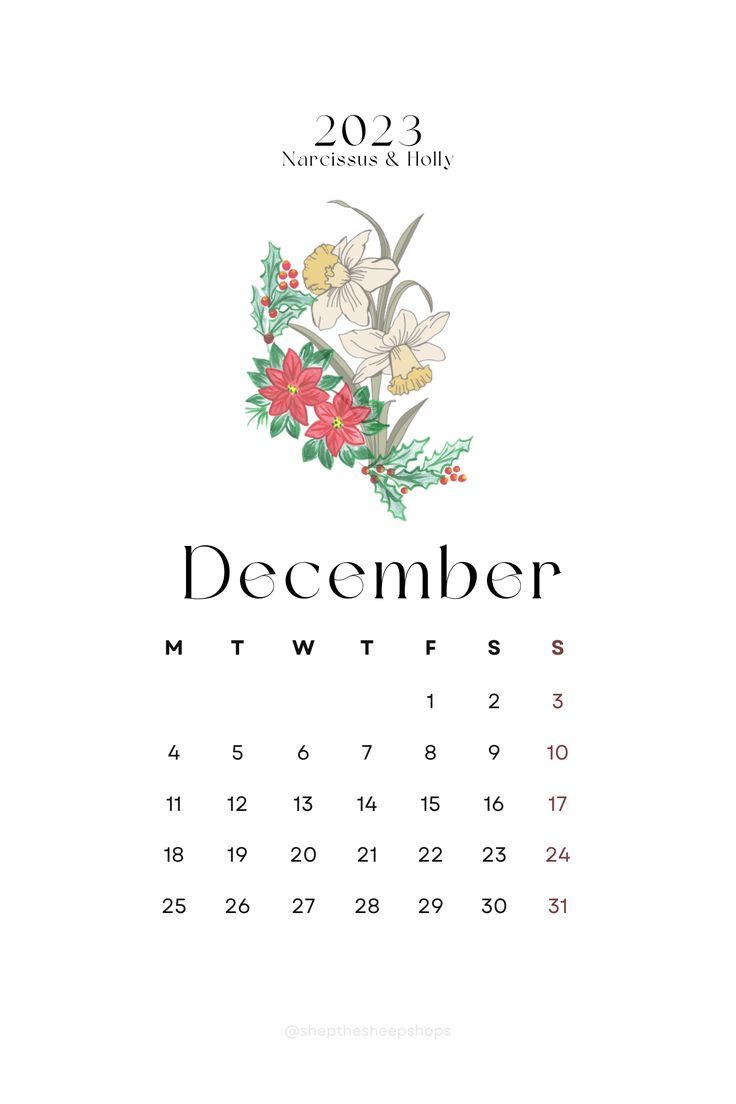 Simple minimal 2023 monthly calendar for December. Flower calendar, Calendar, Calendar wallpaper