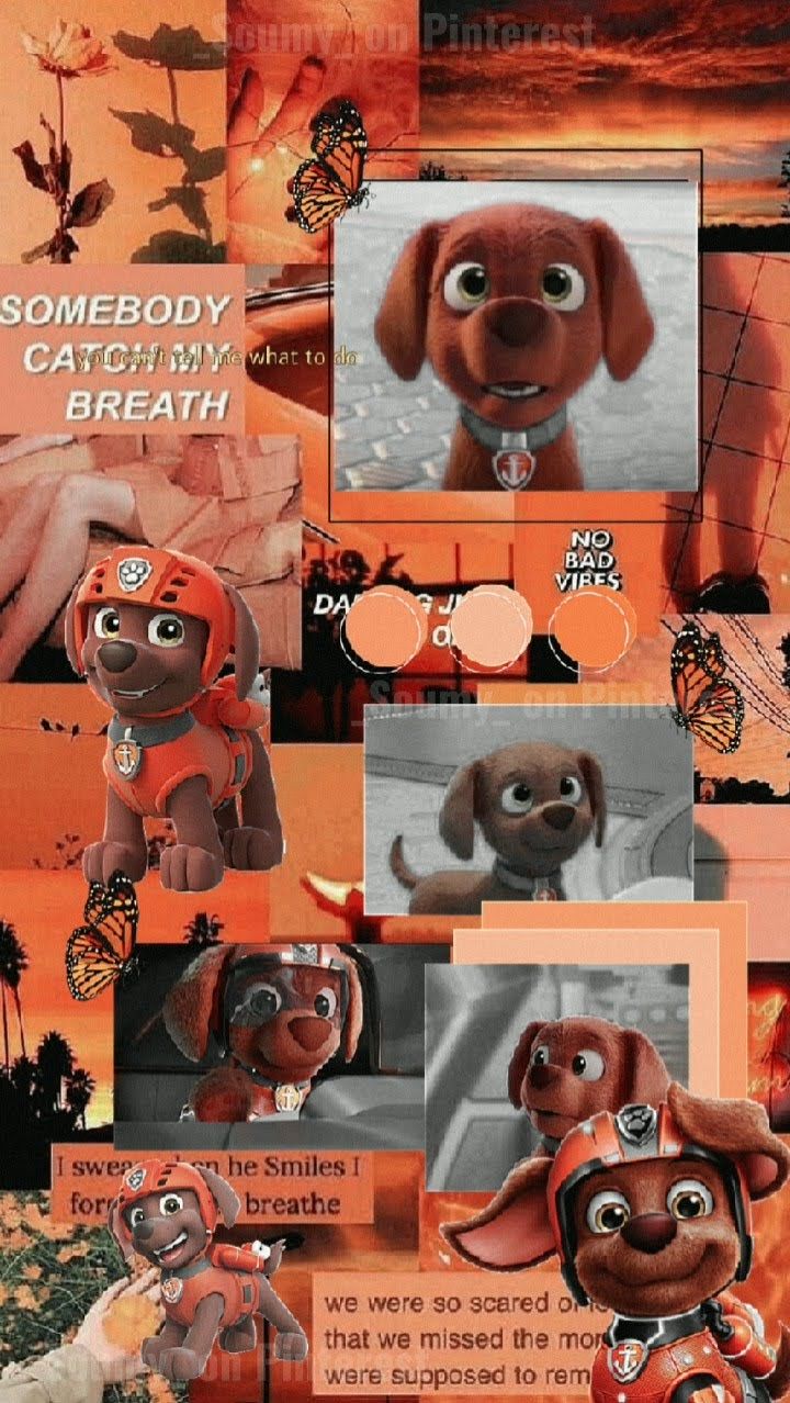 ᴢᴜᴍᴀ ᴡᴀʟʟᴘᴀᴘᴇʀ. ᴘᴀᴡ ᴘᴀᴛʀᴏʟ. Zuma paw patrol, Marshall paw patrol, Paw patrol cartoon