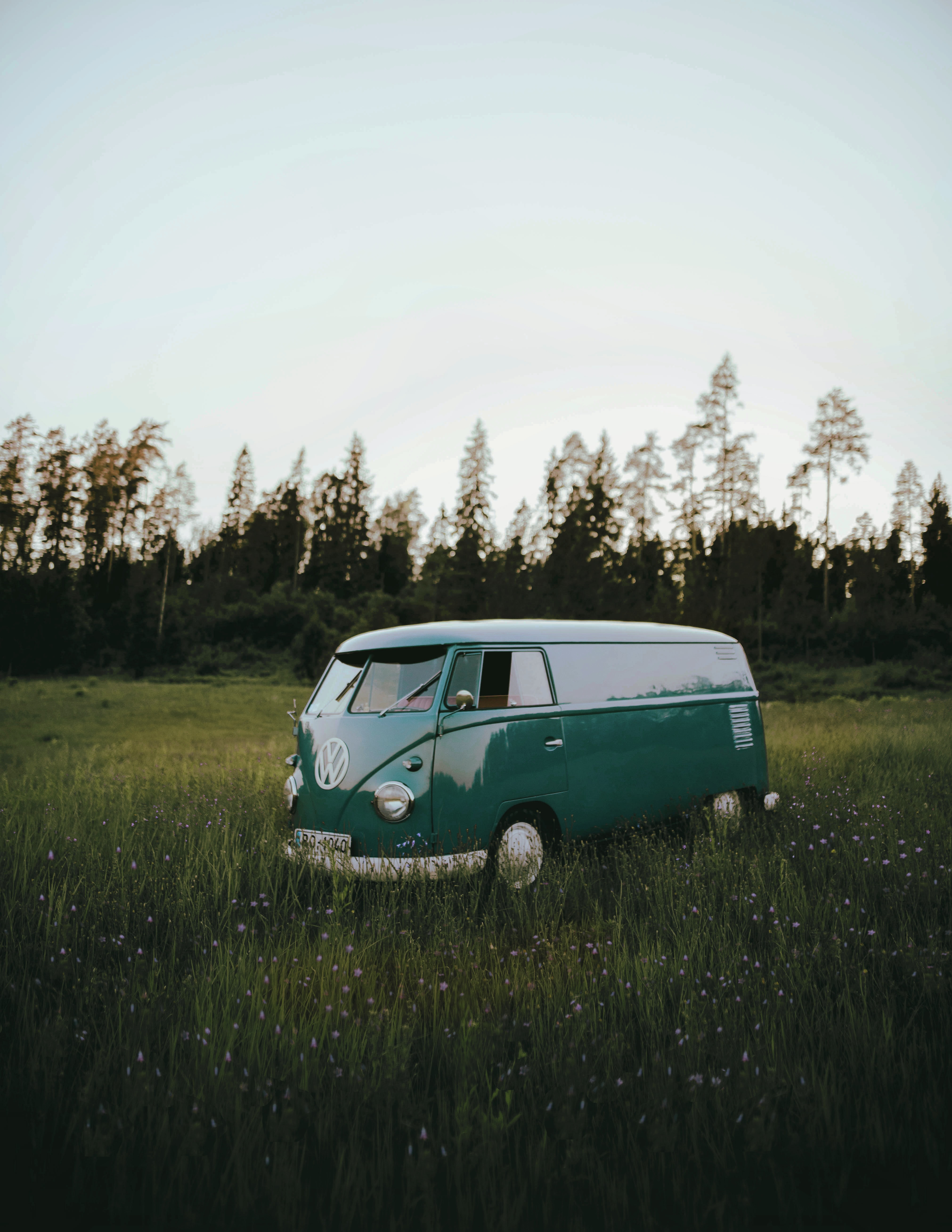 Mobile wallpaper: Volkswagen T1, Field, Grass, Car, Machine, Cars, Volkswagen, 116375 download the picture for free