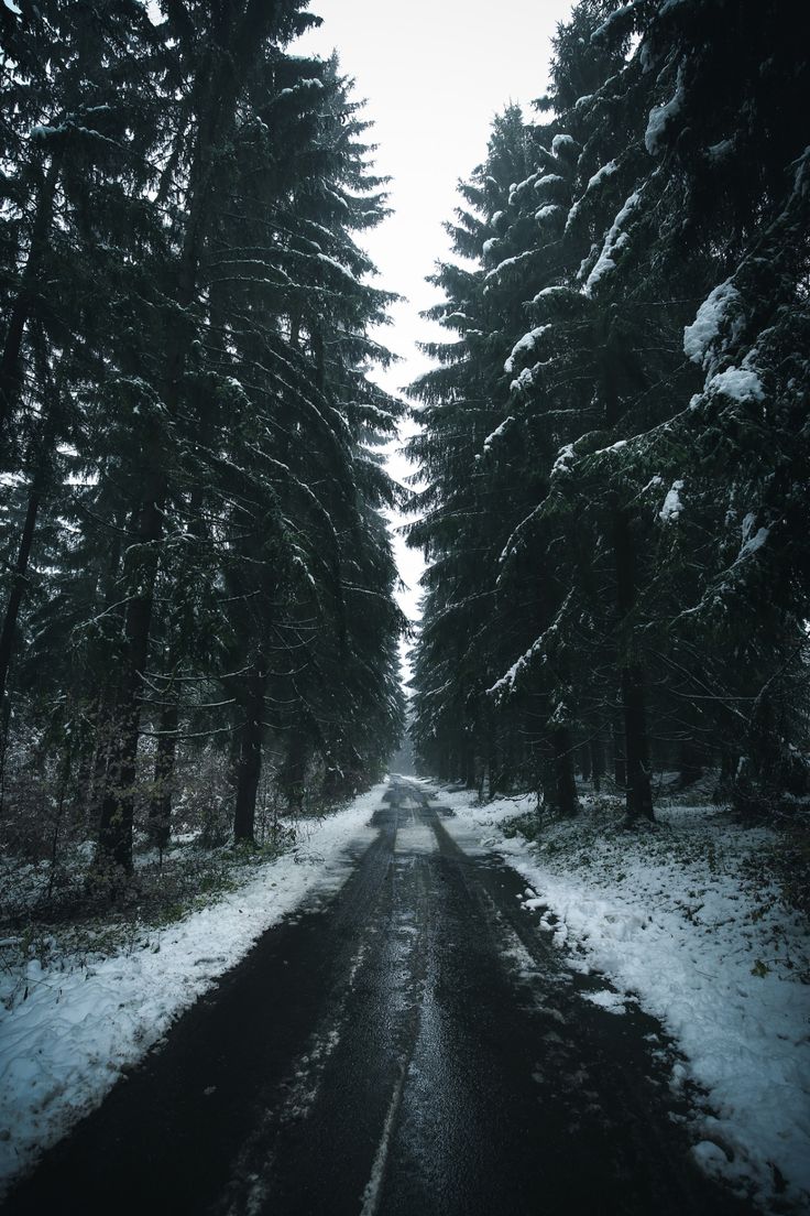 Moody Nature. Winter landscape, Photography inspiration nature, Winter photography nature