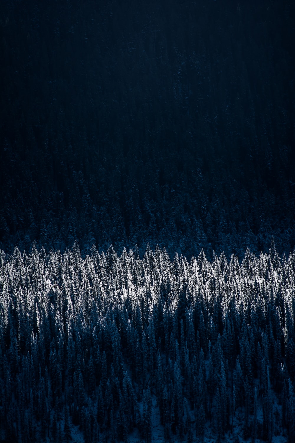 45,Dark Winter Picture. Download Free Image