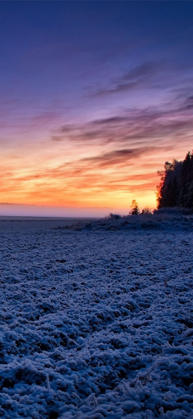 field moody sunlight landscape iPhone