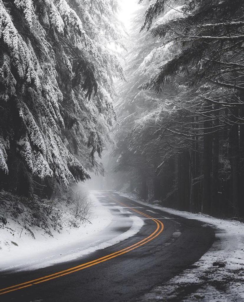 Moody Pacific Northwest winter backroads