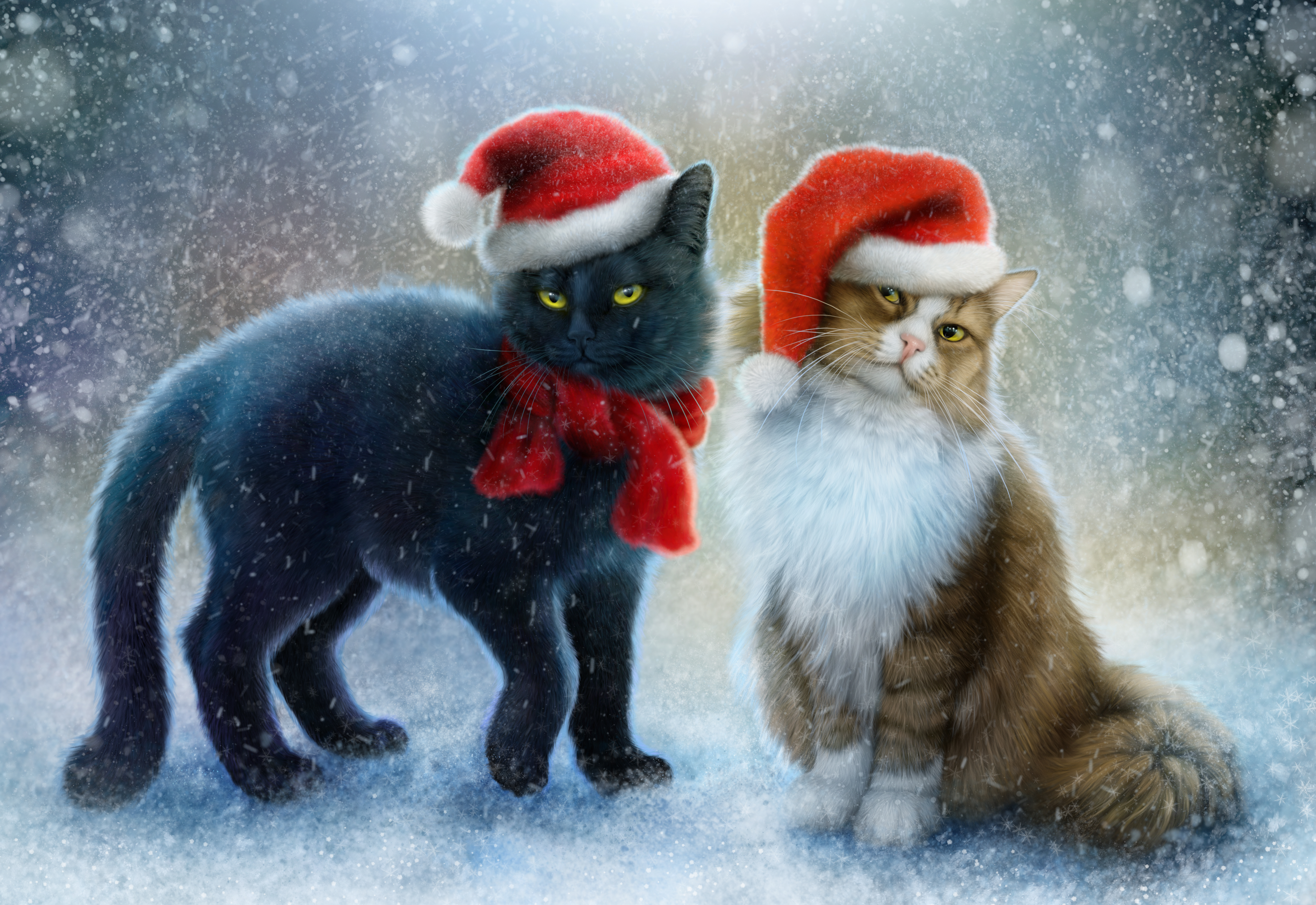 Christmas Cats