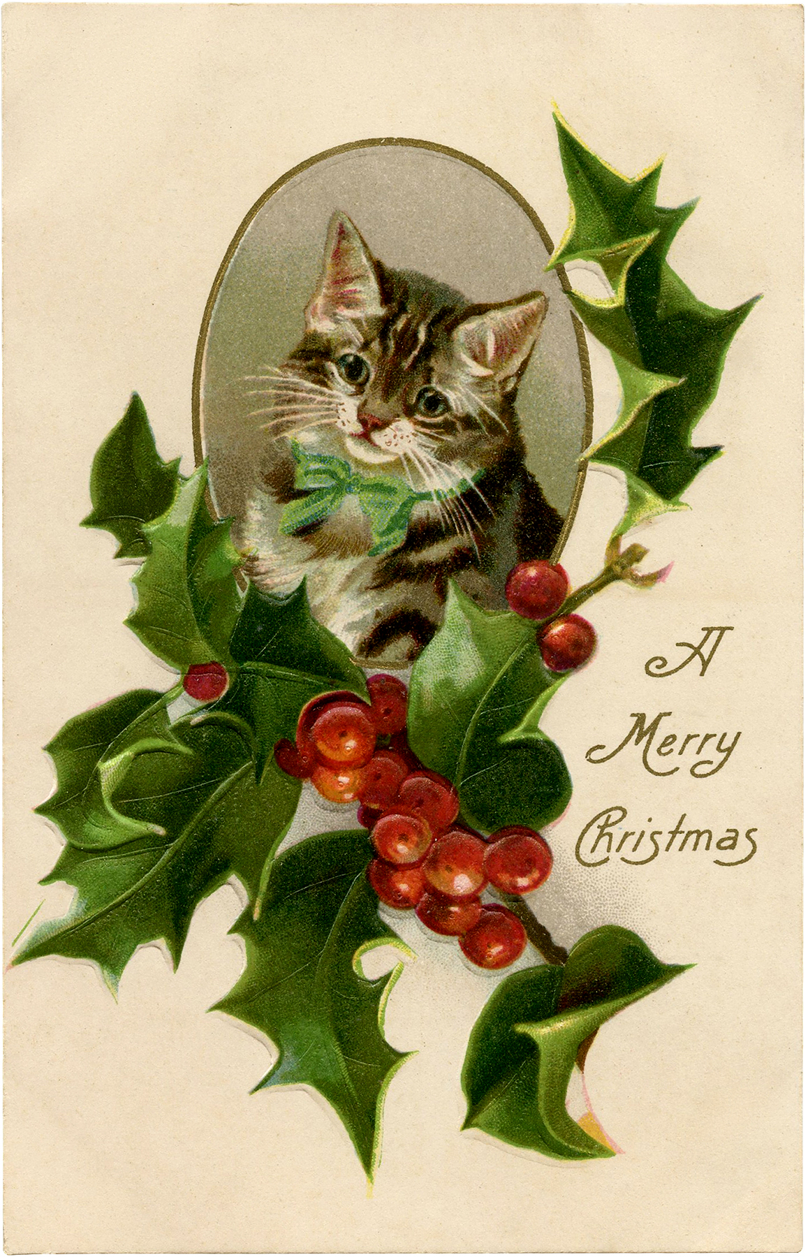 Christmas Cat Clipart! Graphics Fairy