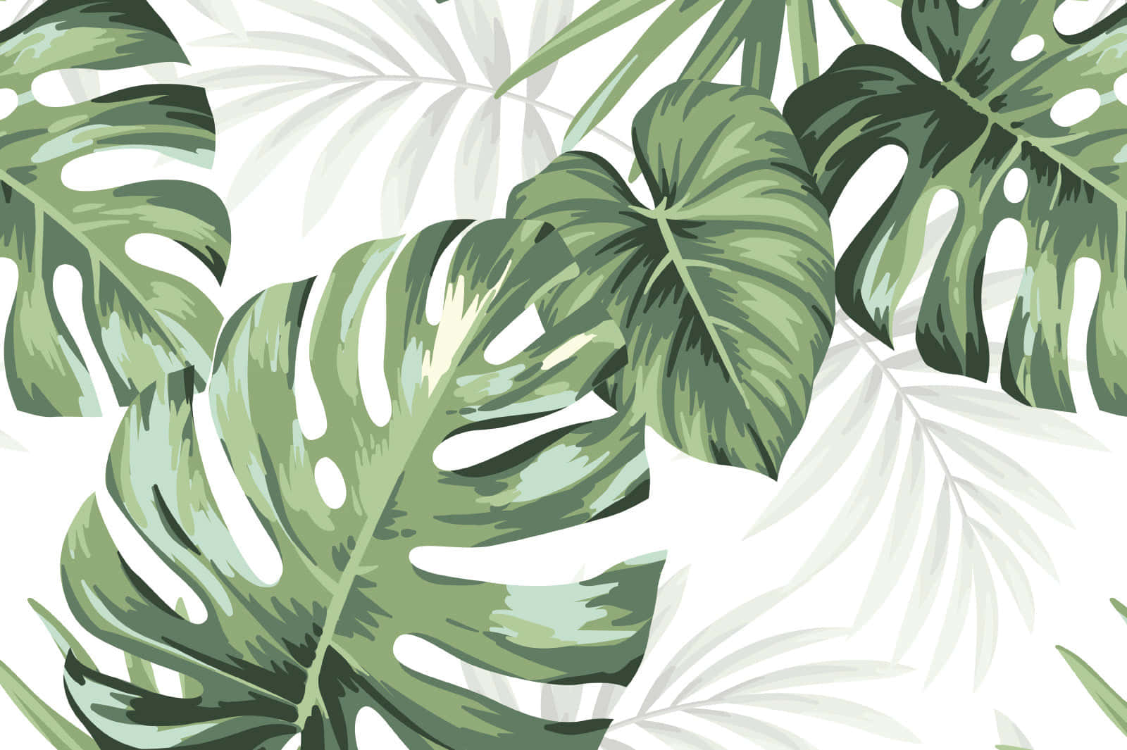 Monstera Wallpapers - Wallpaper Cave