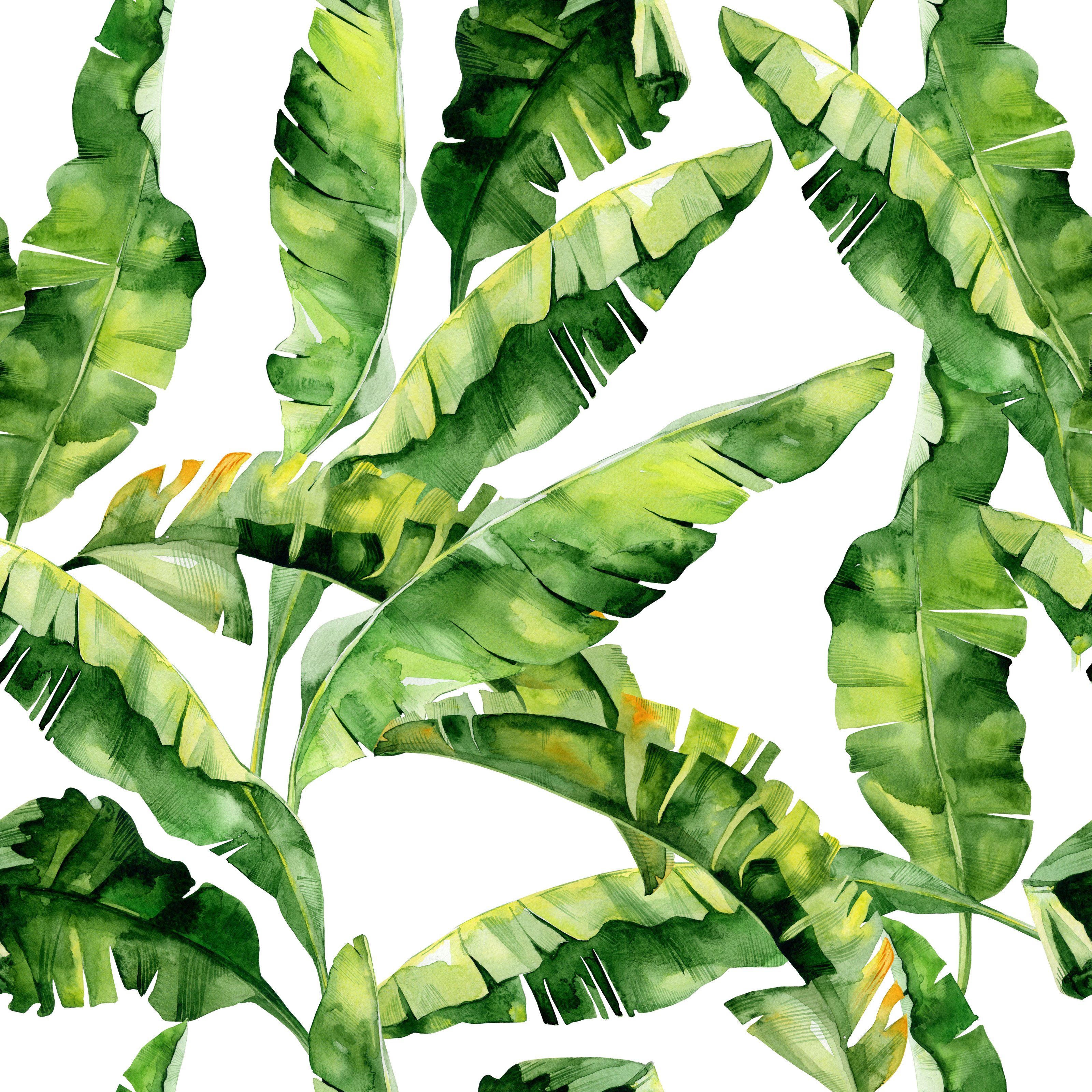 Watercolor Banana Leaf Pattern Wall Mural Your Way