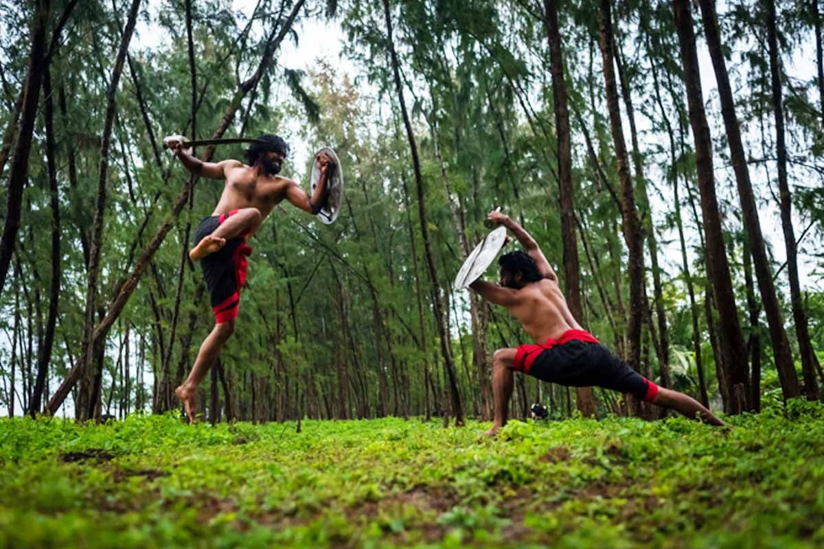 Kalaripayattu to Silambam, how ancient martial art forms have gone virtual