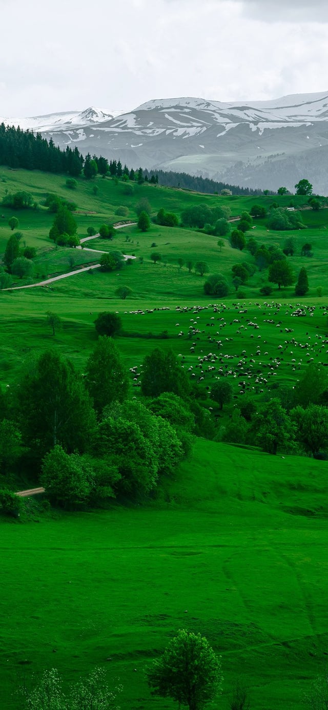 Green Hills Under A Cloudy Sky 4K phone wallpaper [2610x5655] and [1080x2340]