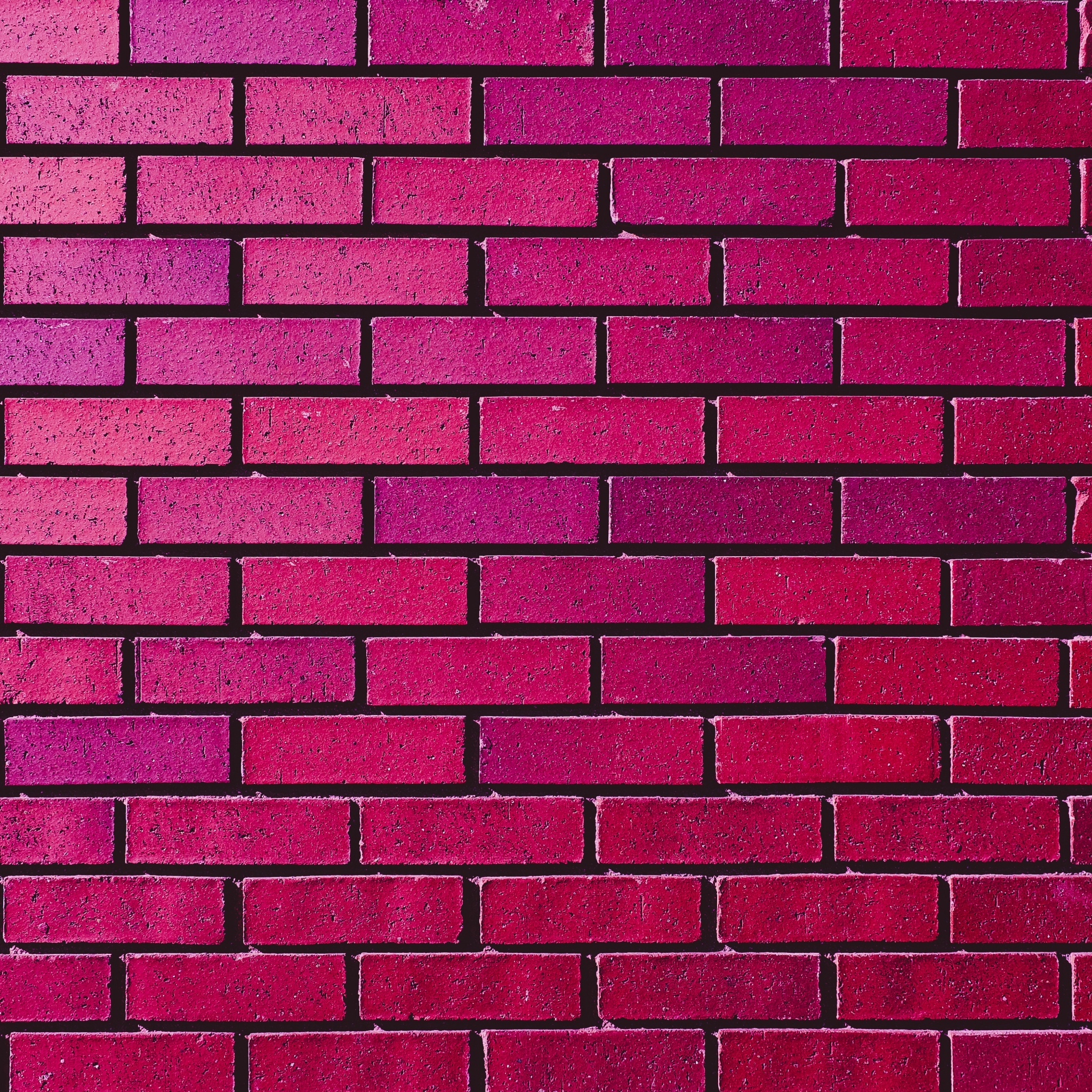 Brick wall Wallpaper 4K, Magenta, Red, Bricks, Bright