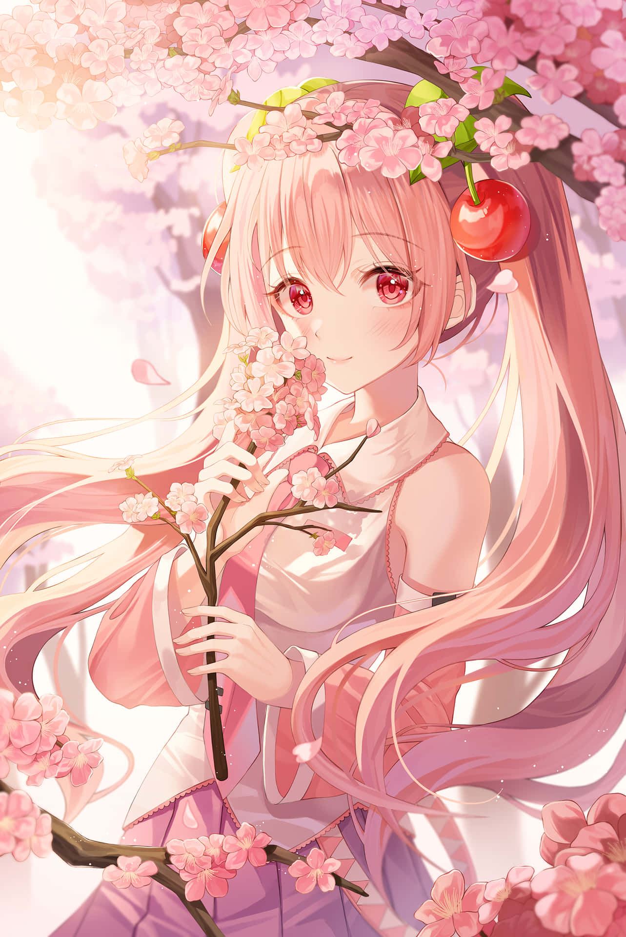 Download Enjoy the beauty and bliss of Sakura Miku Wallpaper