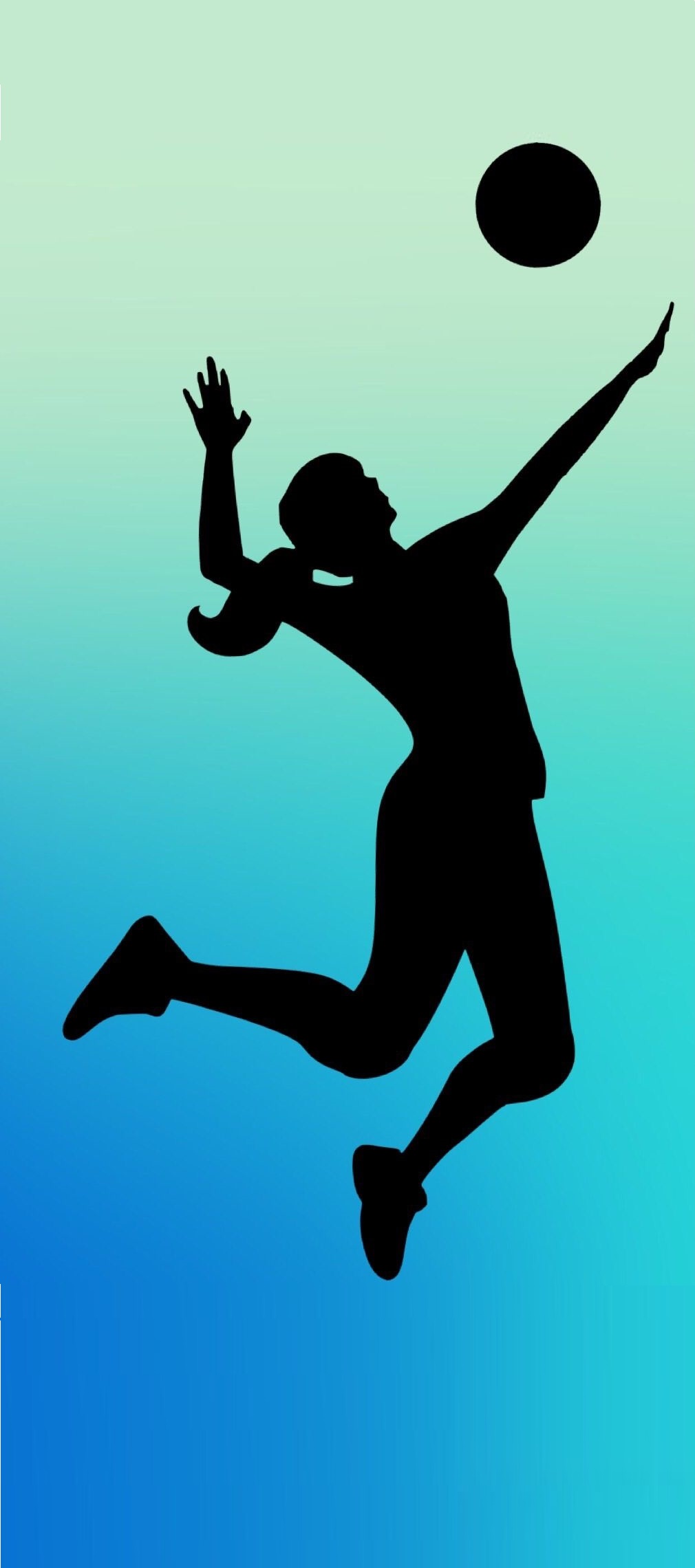 Phone Volleyball Wallpaper