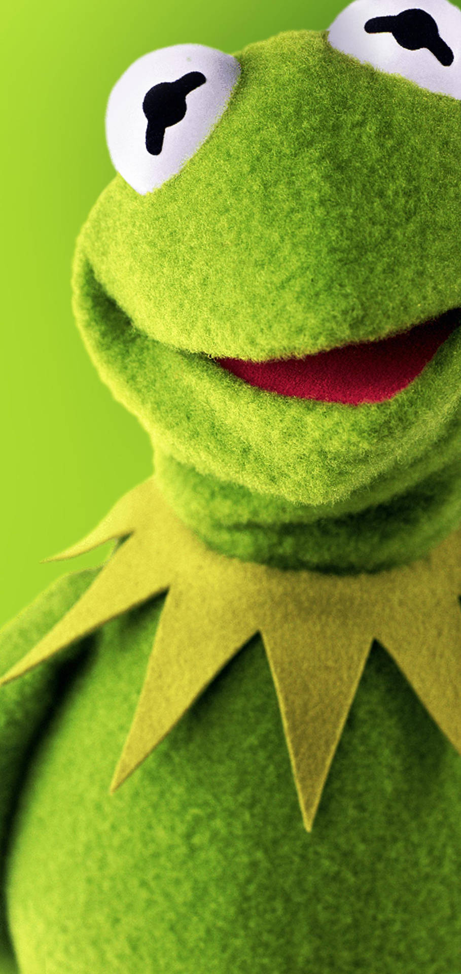 Download Kermit The Frog Smiling Wallpaper