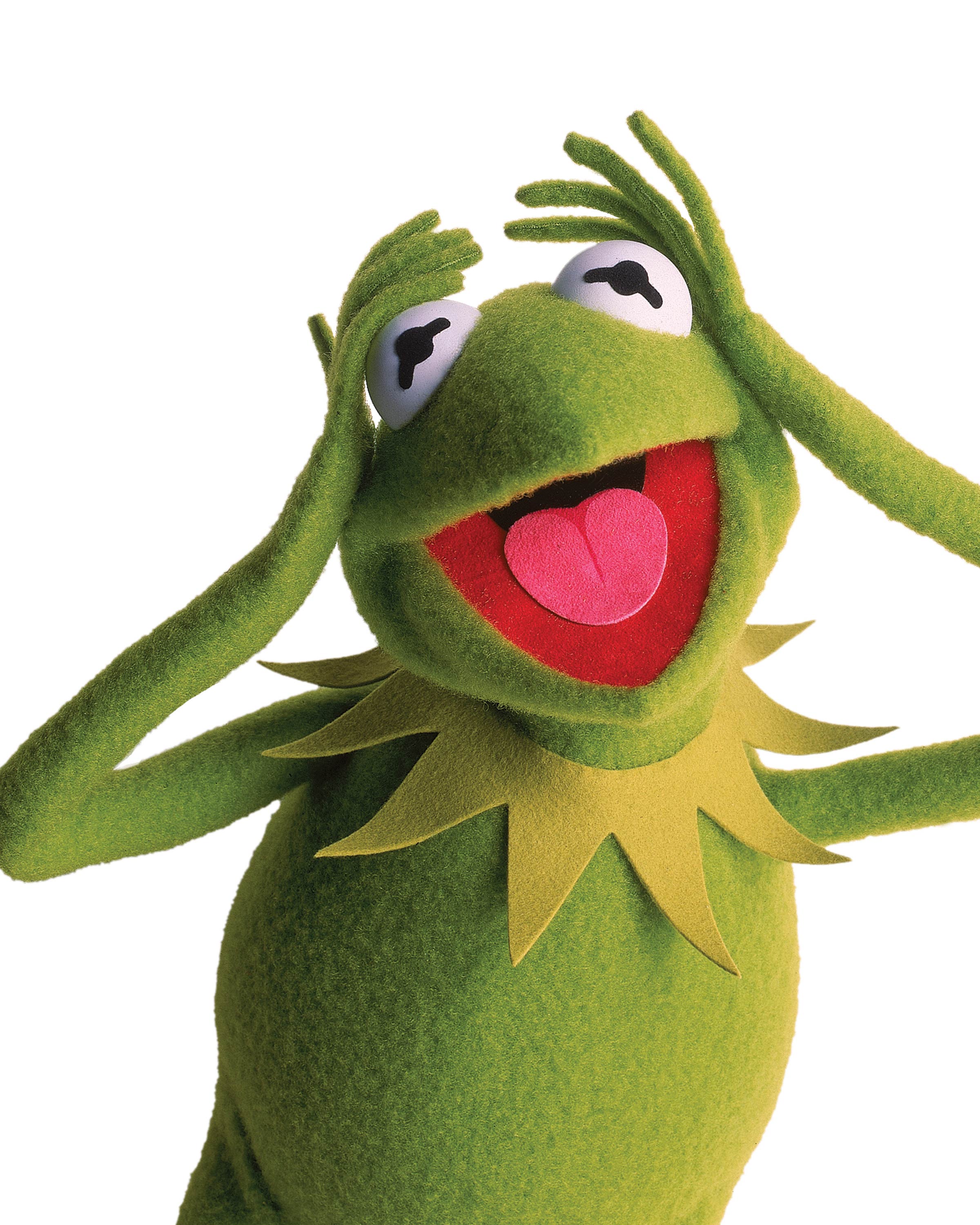 Kermit the Frog Phone Wallpaper Free Kermit the Frog Phone Background