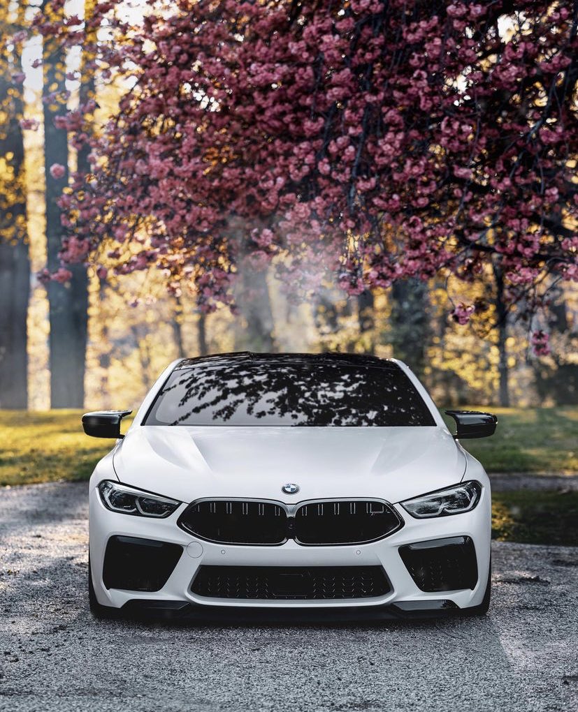 LUX Cars M8 Competition