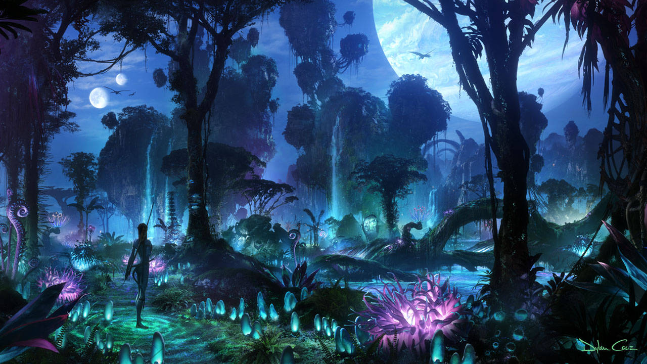 Download Pandora Forest At Night Wallpaper