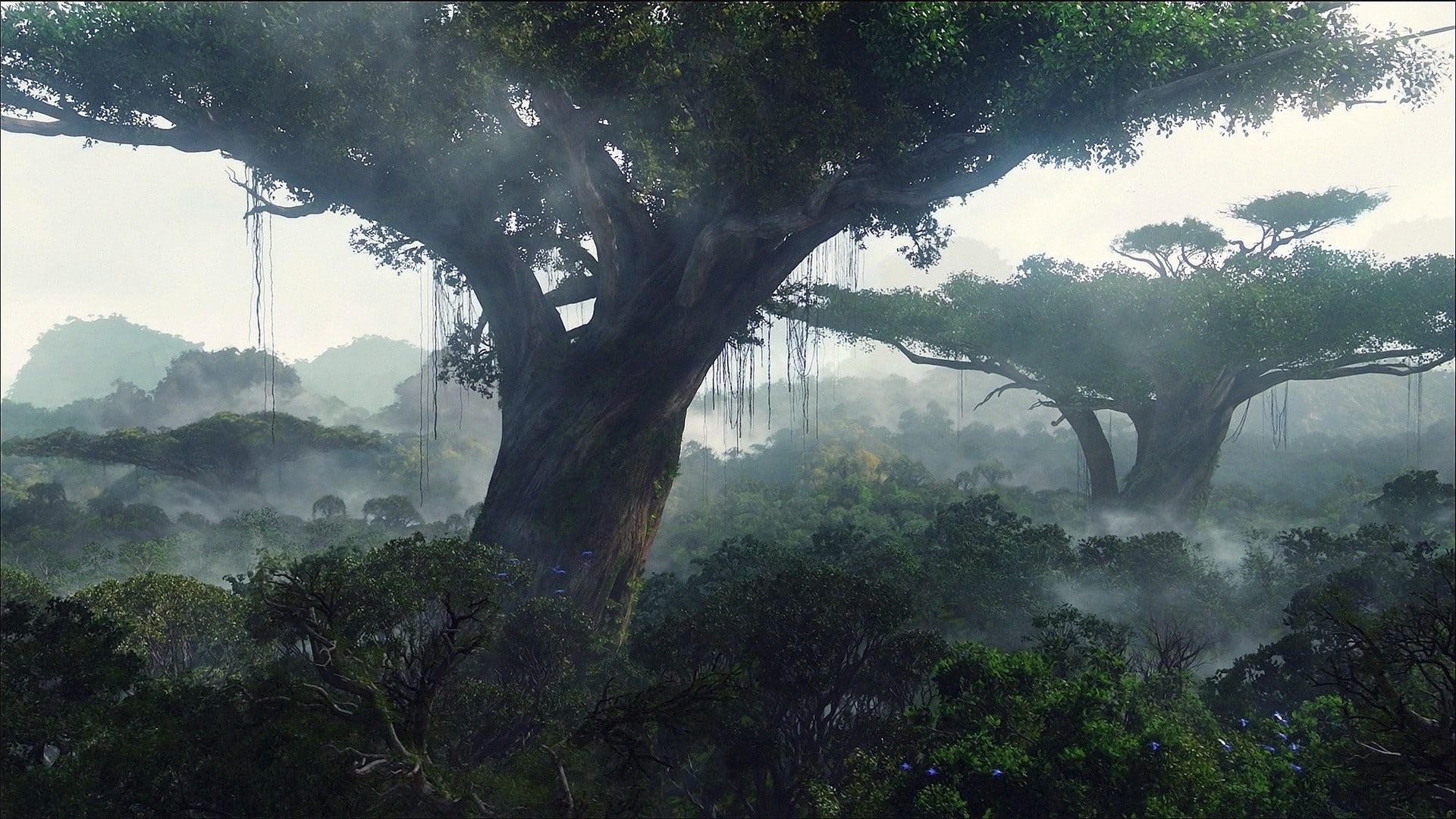 Avatar #nature #Pandora #wood P #wallpaper #hdwallpaper #desktop. Avatar tree, Avatar movie, Fantasy landscape