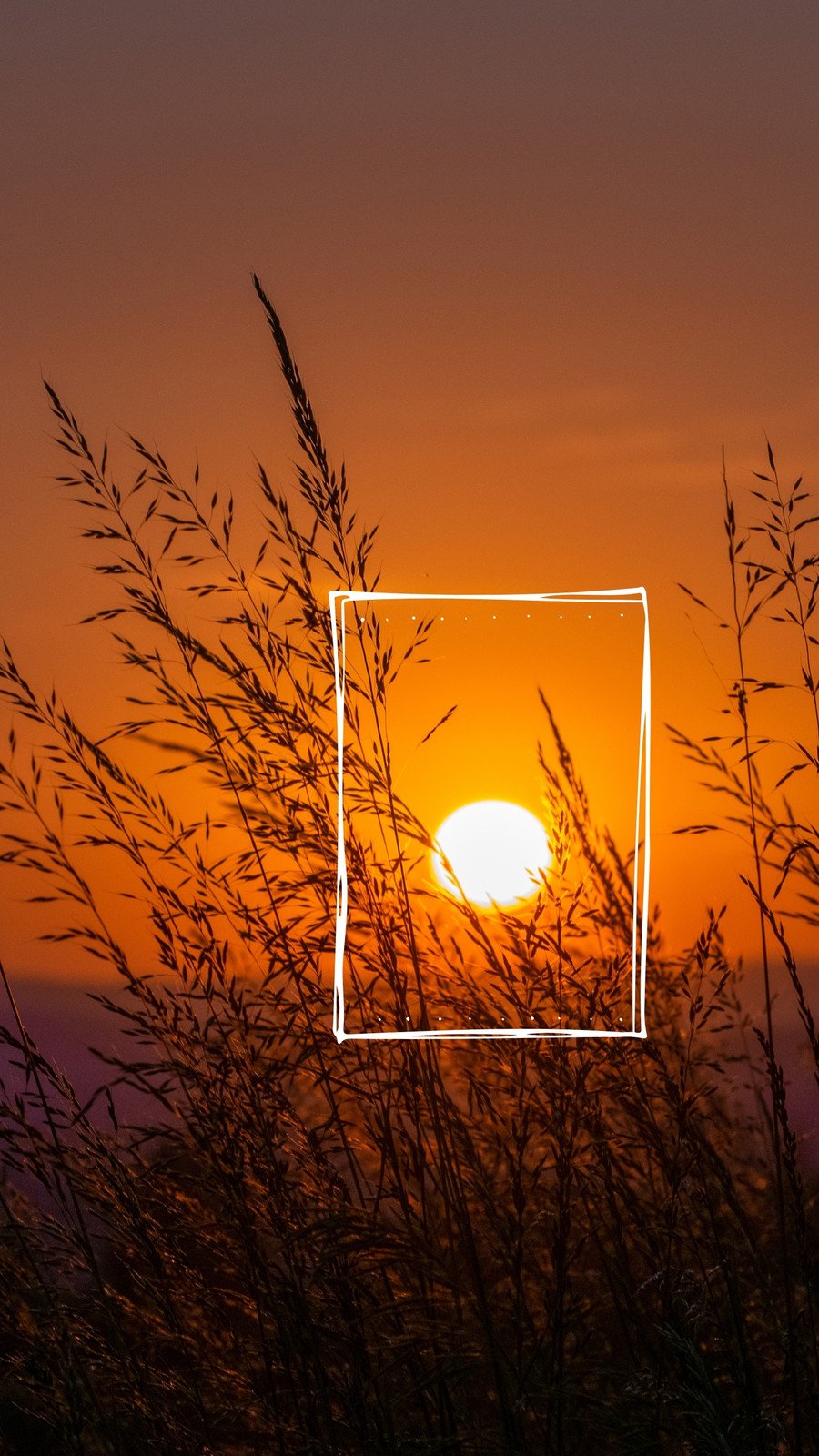 sun wallpaper