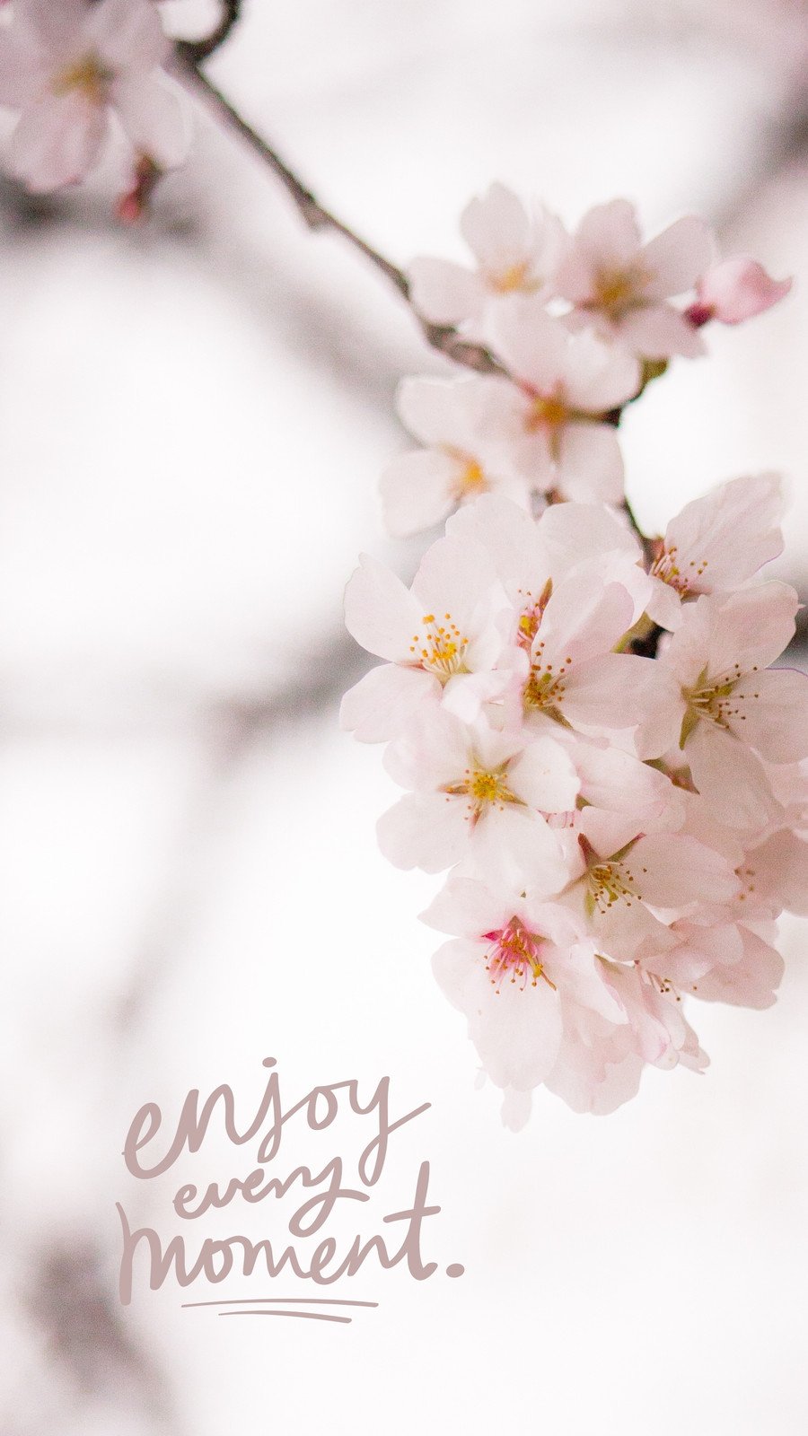 Spring Aesthetic Phone Wallpaper