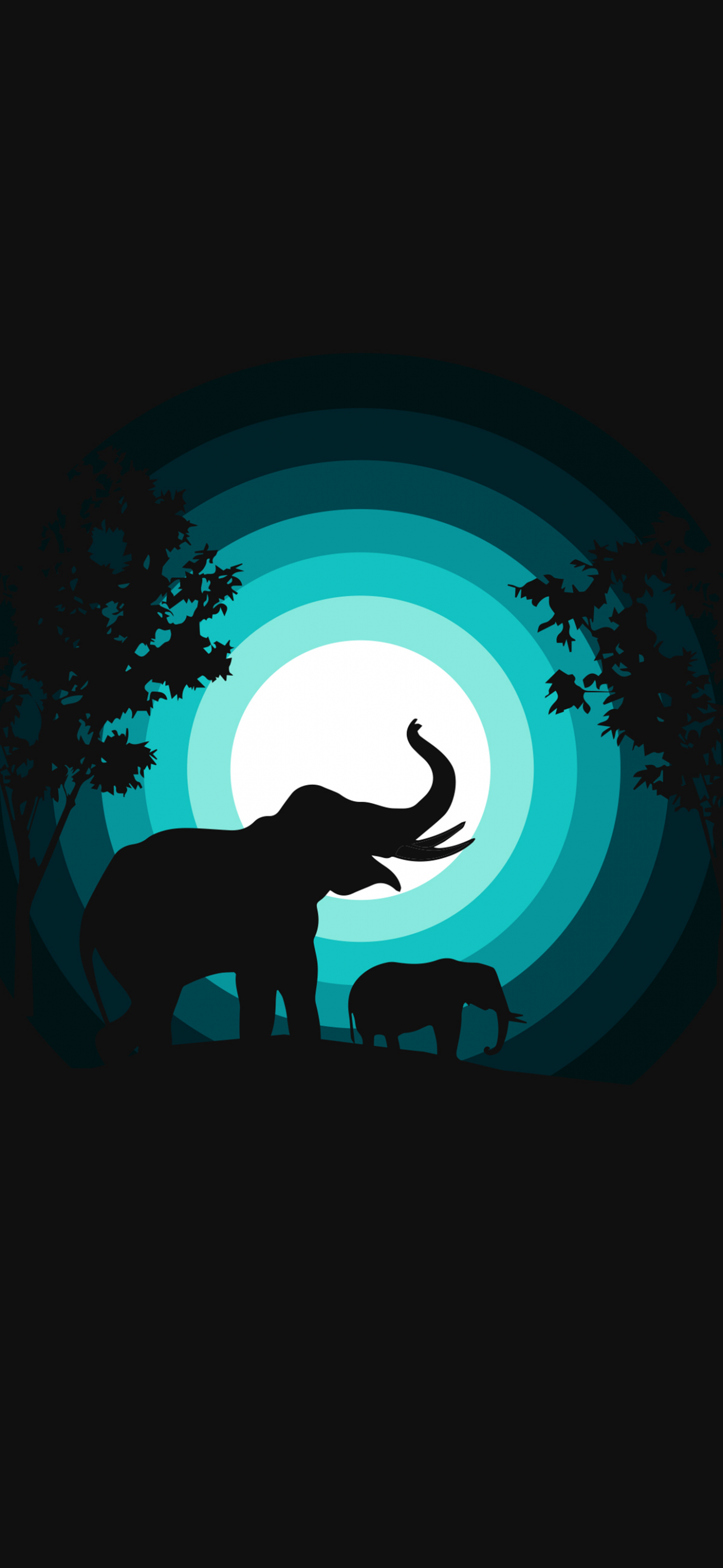 Elephant Wallpaper 4K, cub, Silhouette, Night, Teal