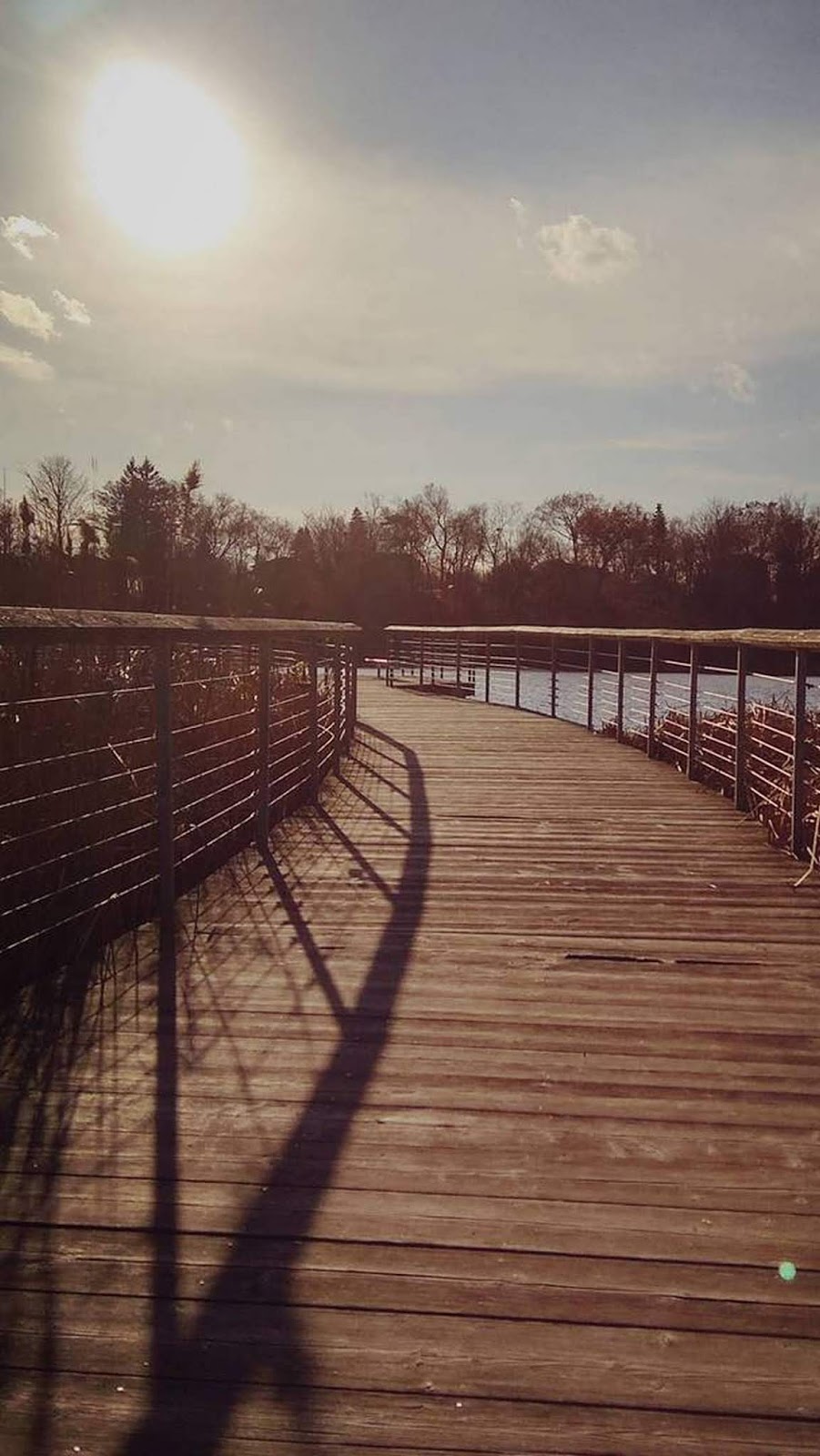 Elegant iphone 11 wallpaper ✨